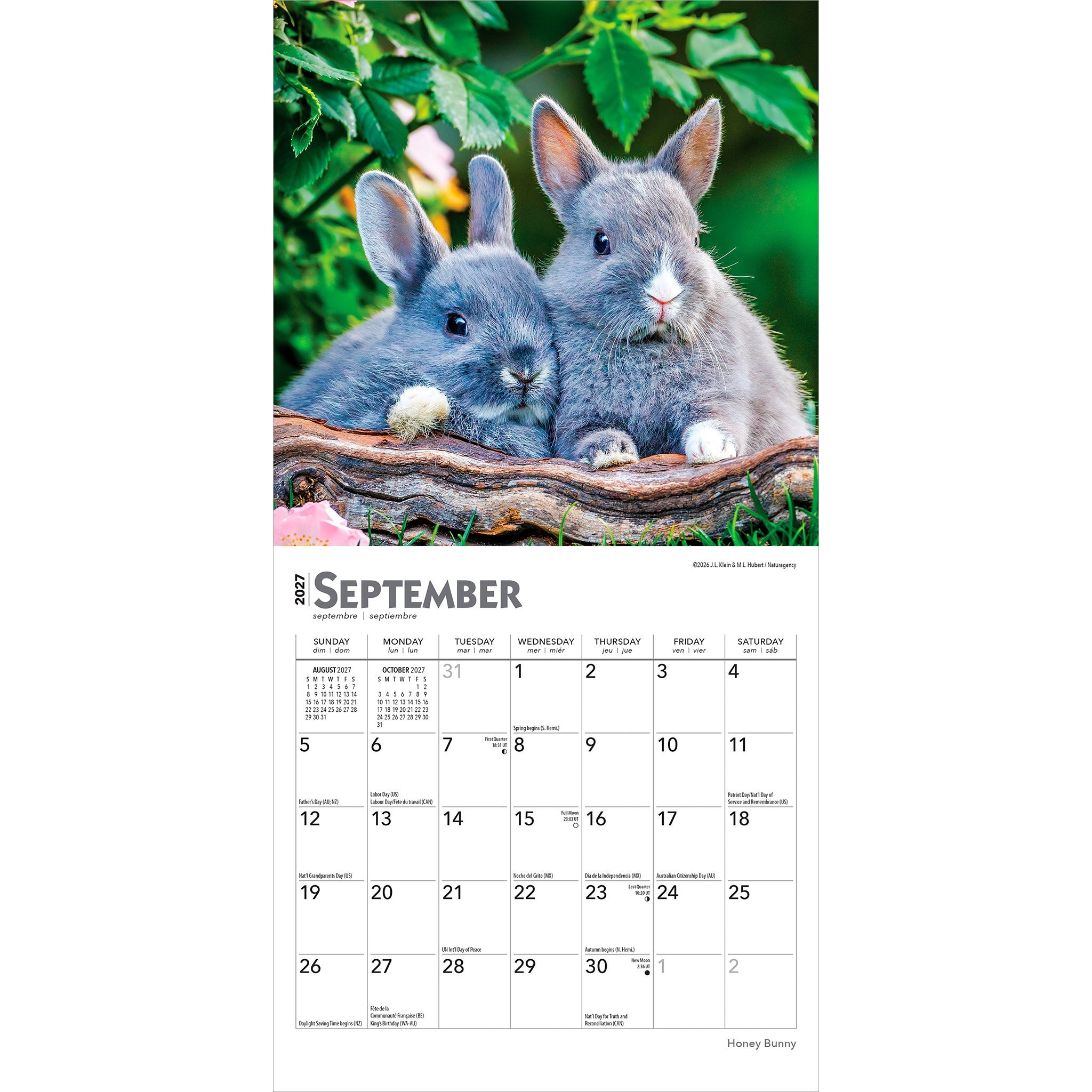 Honey Bunny 2027 Mini Calendar