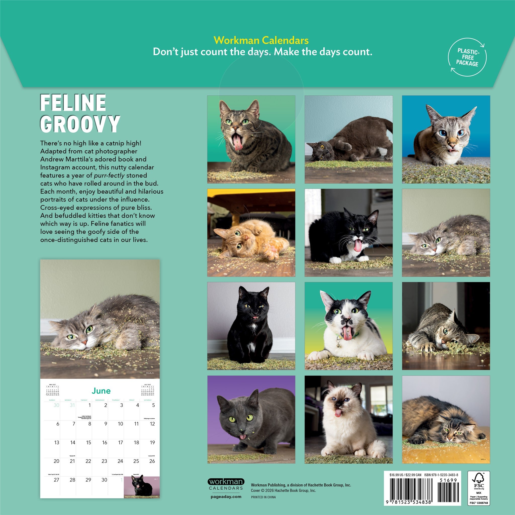 Calendrier mural 2027 : Chats sous l'effet de l'herbe à chat
