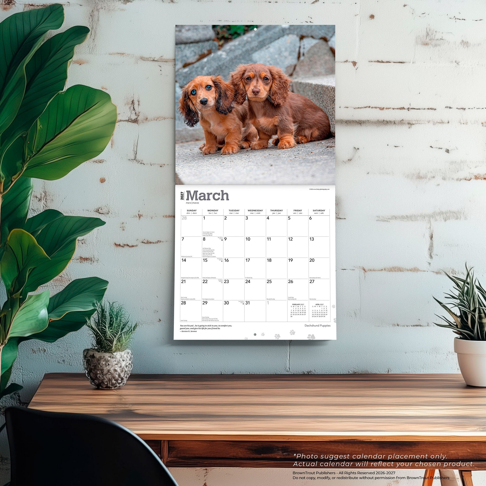 Dachshund Puppies 2027 Wall Calendar