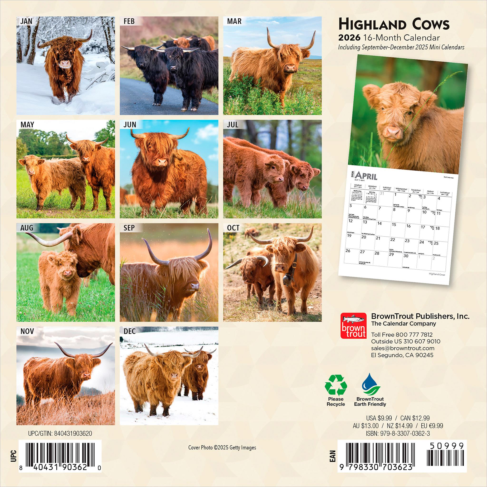 Mini-calendrier des vaches des Highlands 2026