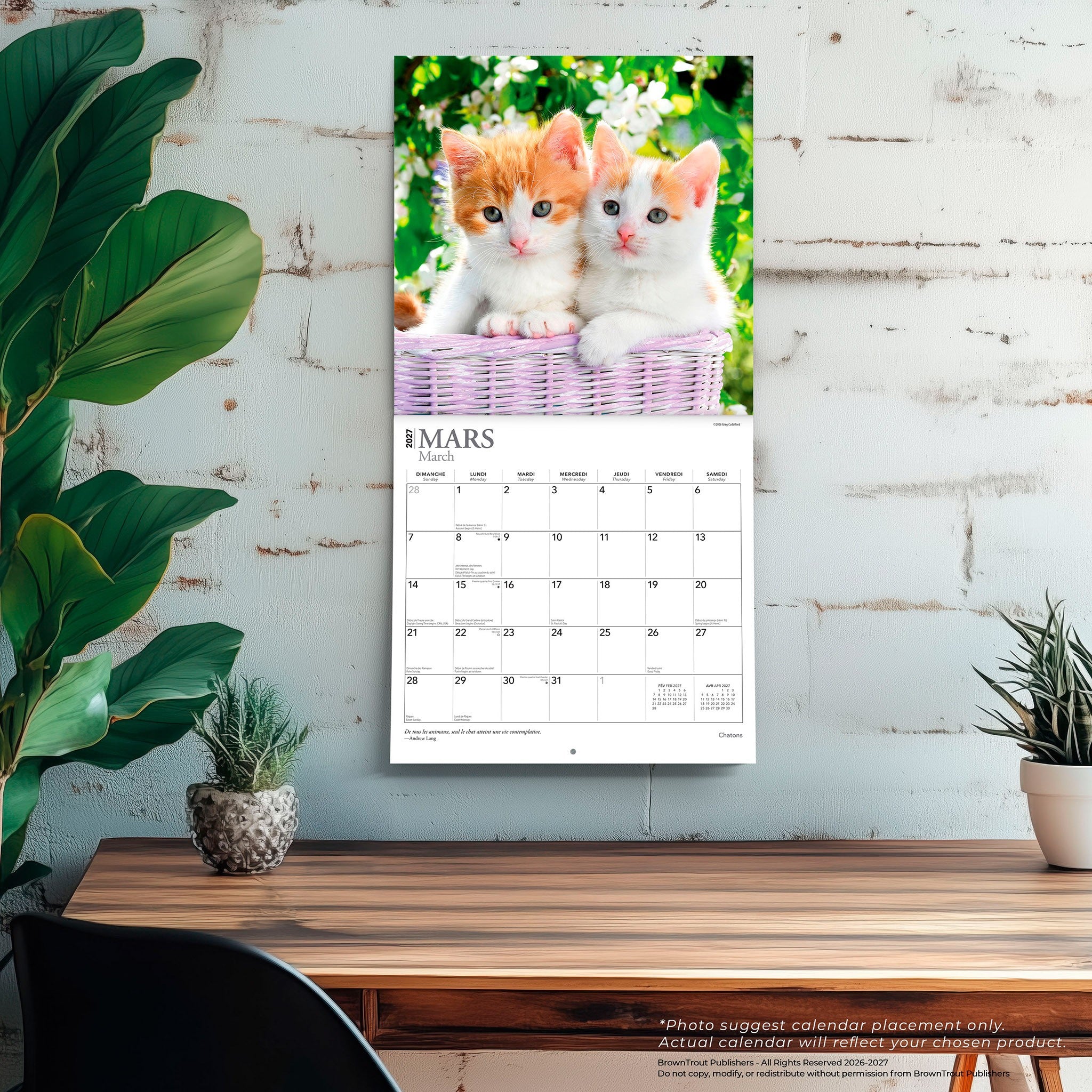 Chatons 2027 Wall Calendar (French)