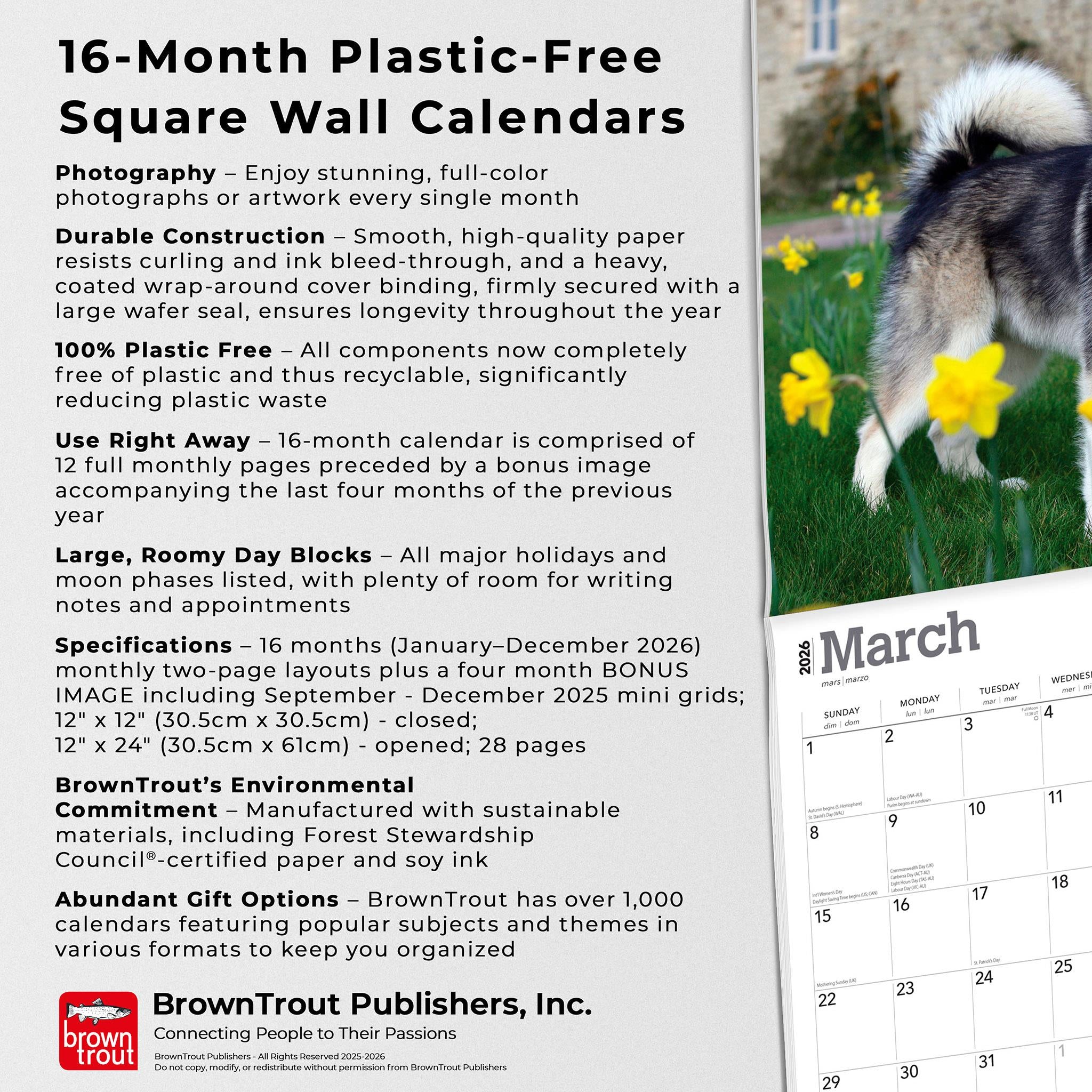 Alaskan Malamutes 2026 Wall Calendar