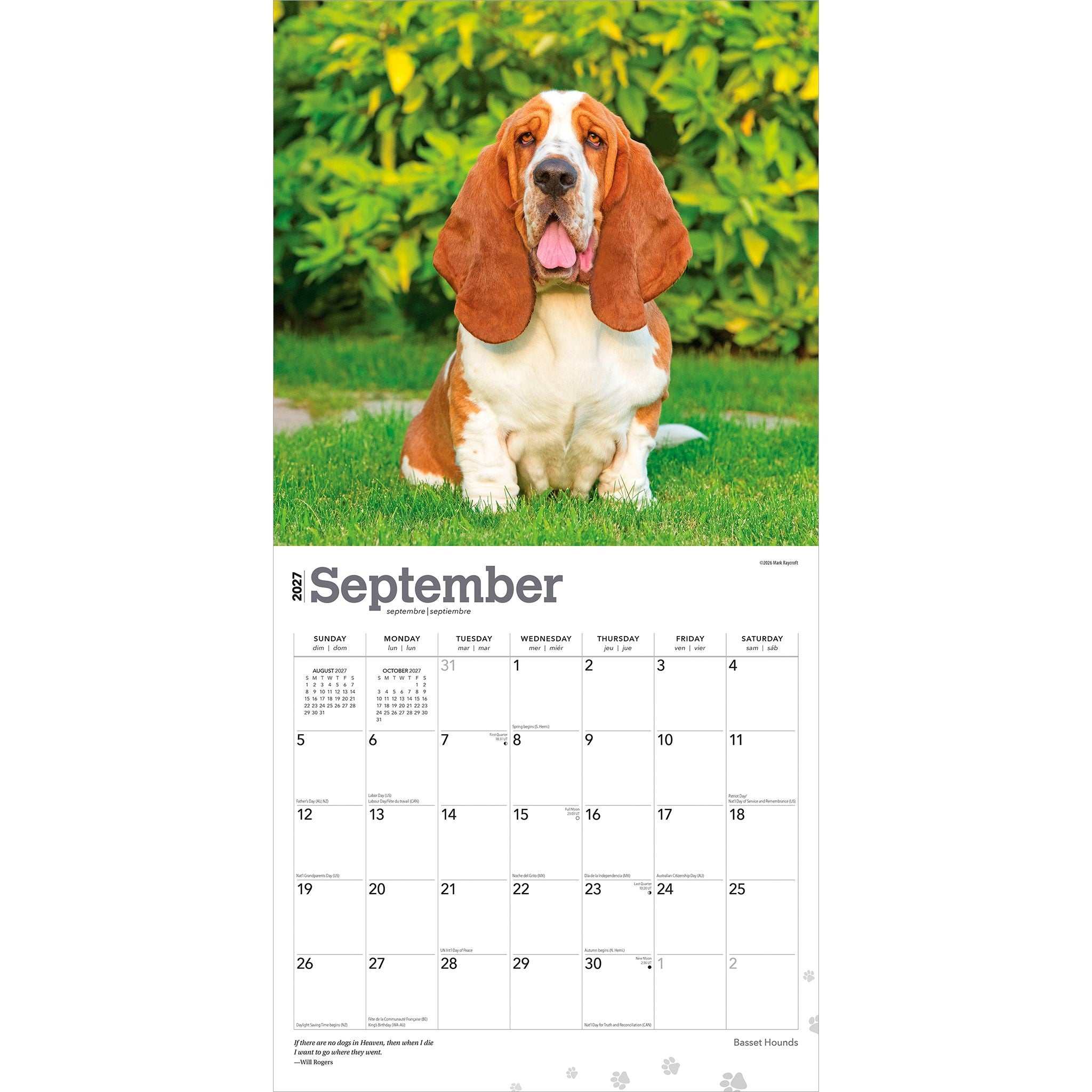 Basset Hounds 2027 Wall Calendar