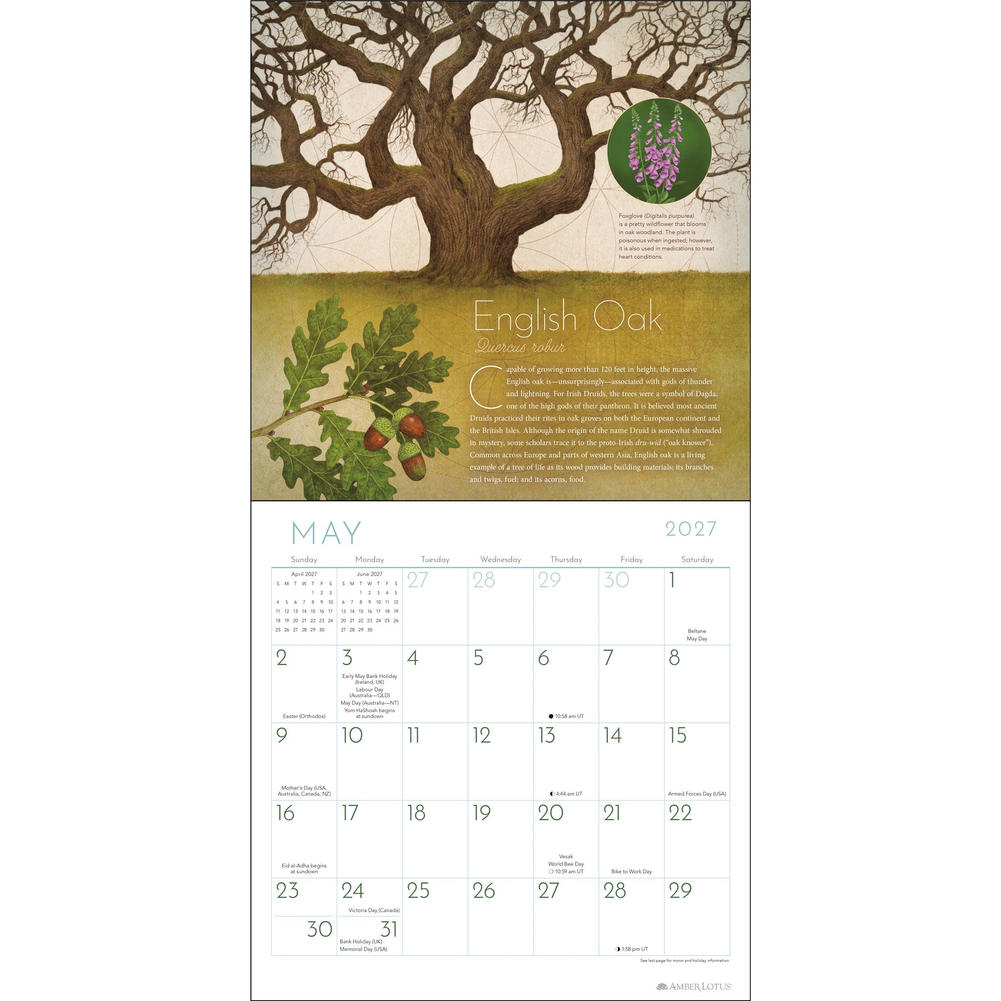 Trees of Life 2027 Wall Calendar - Online Only