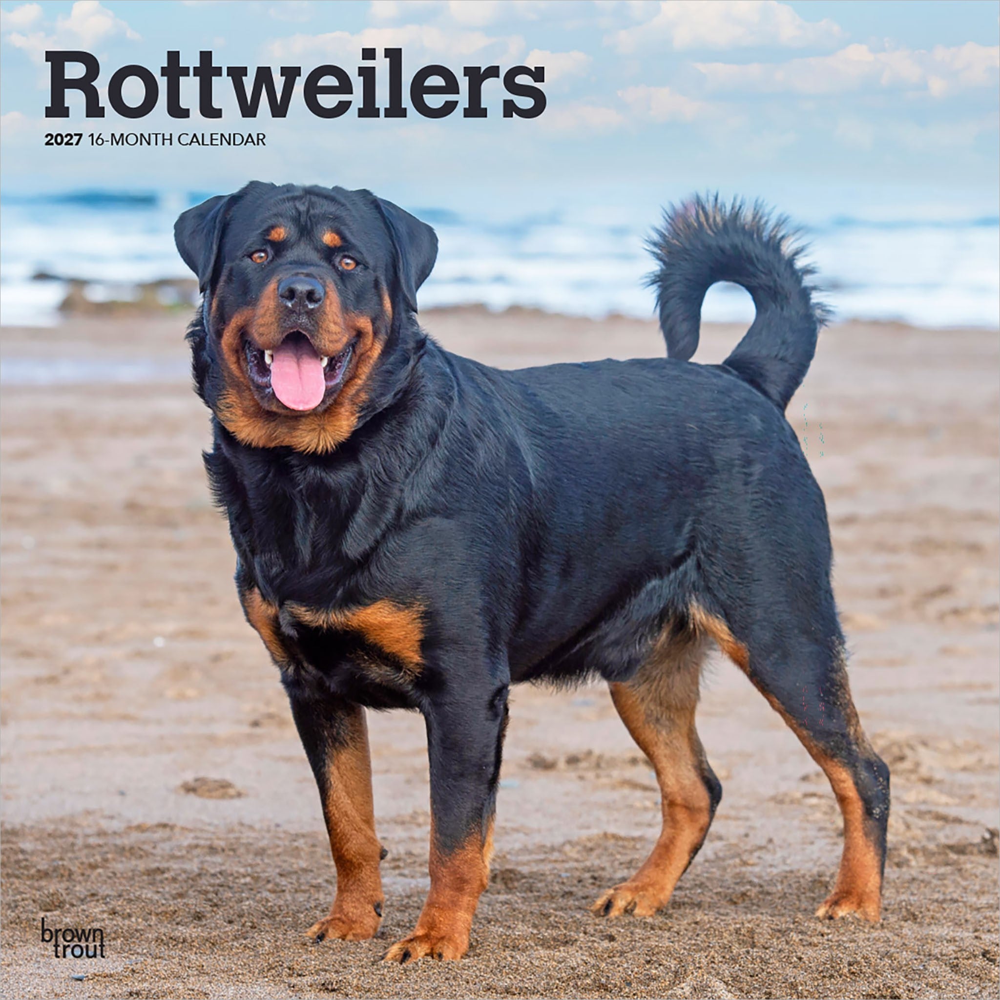 Rottweilers 2027 Wall Calendar