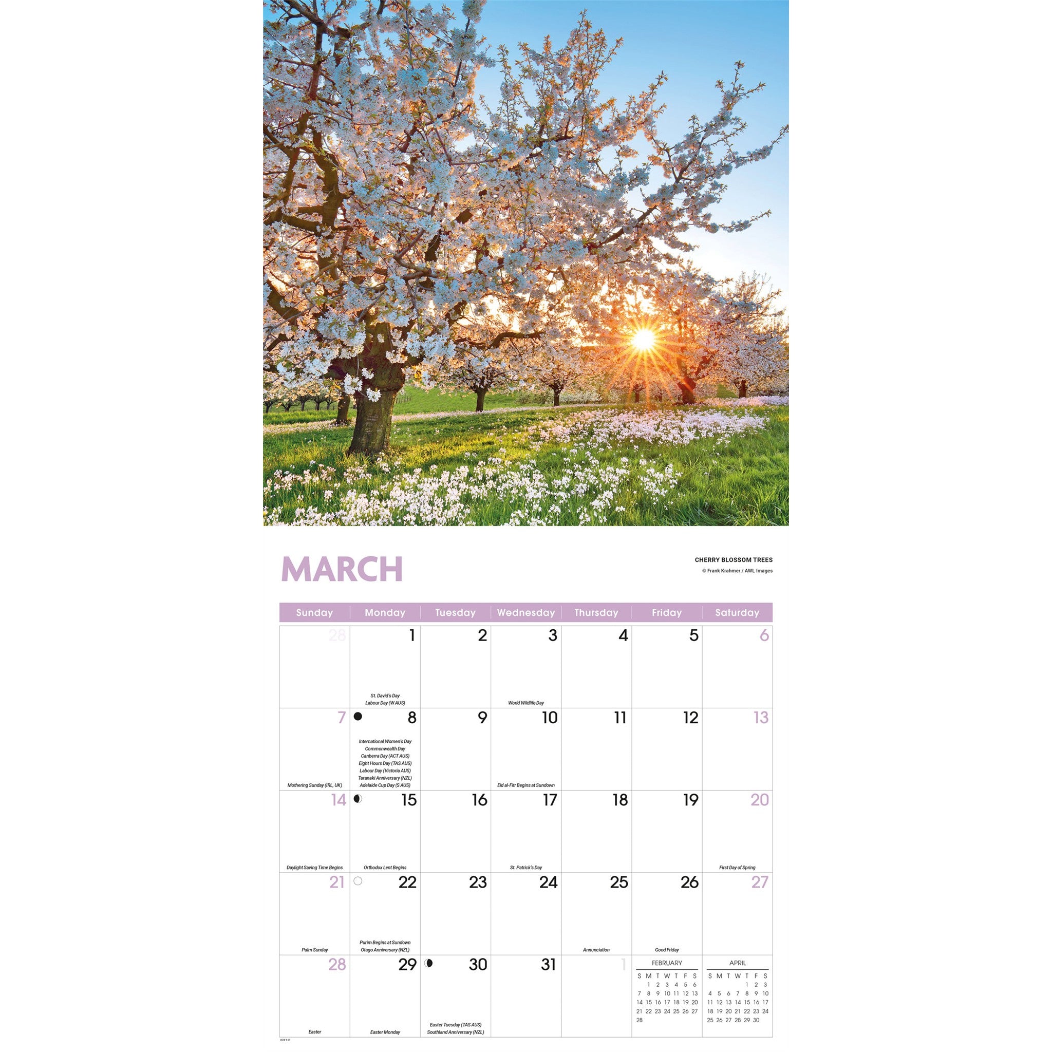 Calendrier mural Arbres 2027