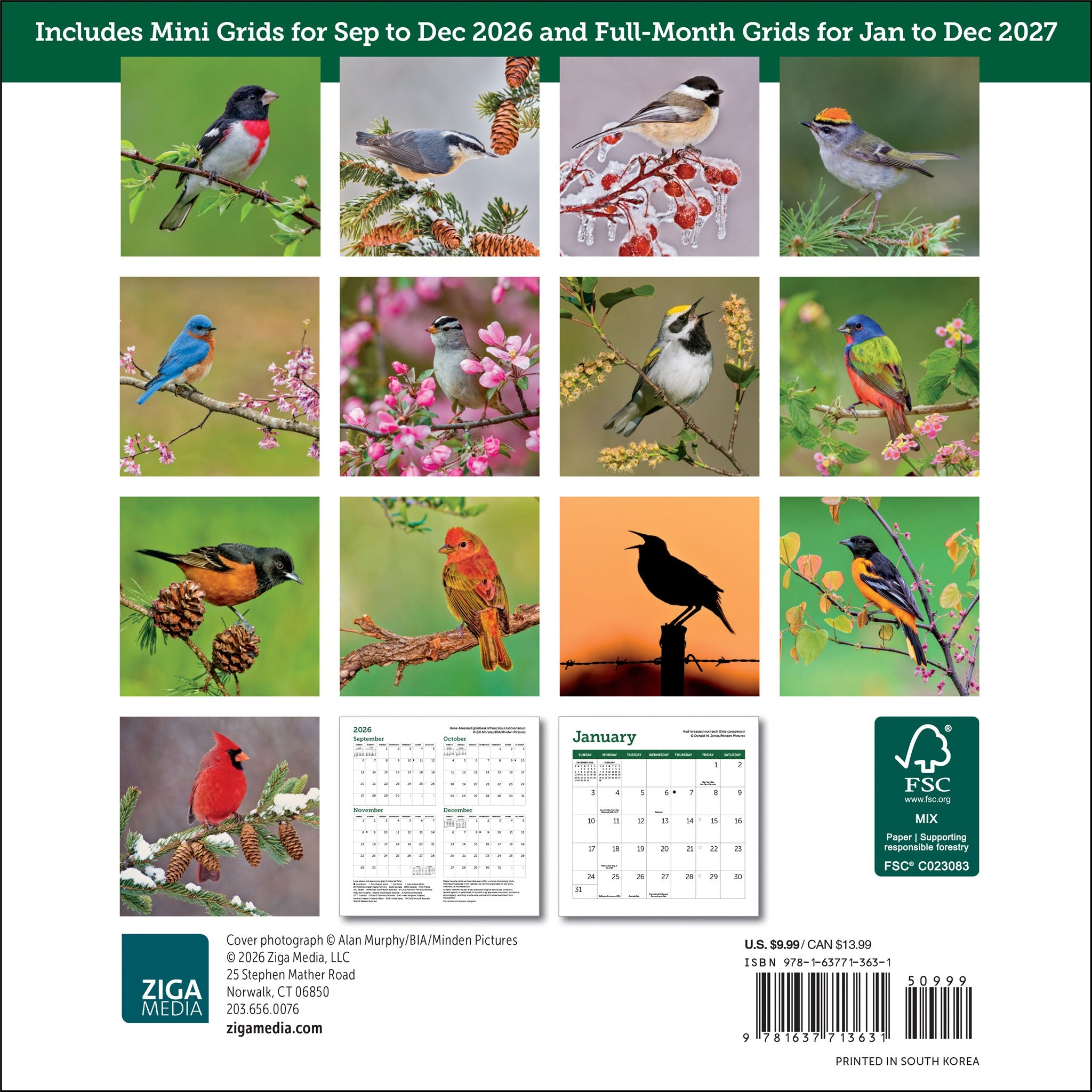 Mini-calendrier 2027 Oiseaux chanteurs