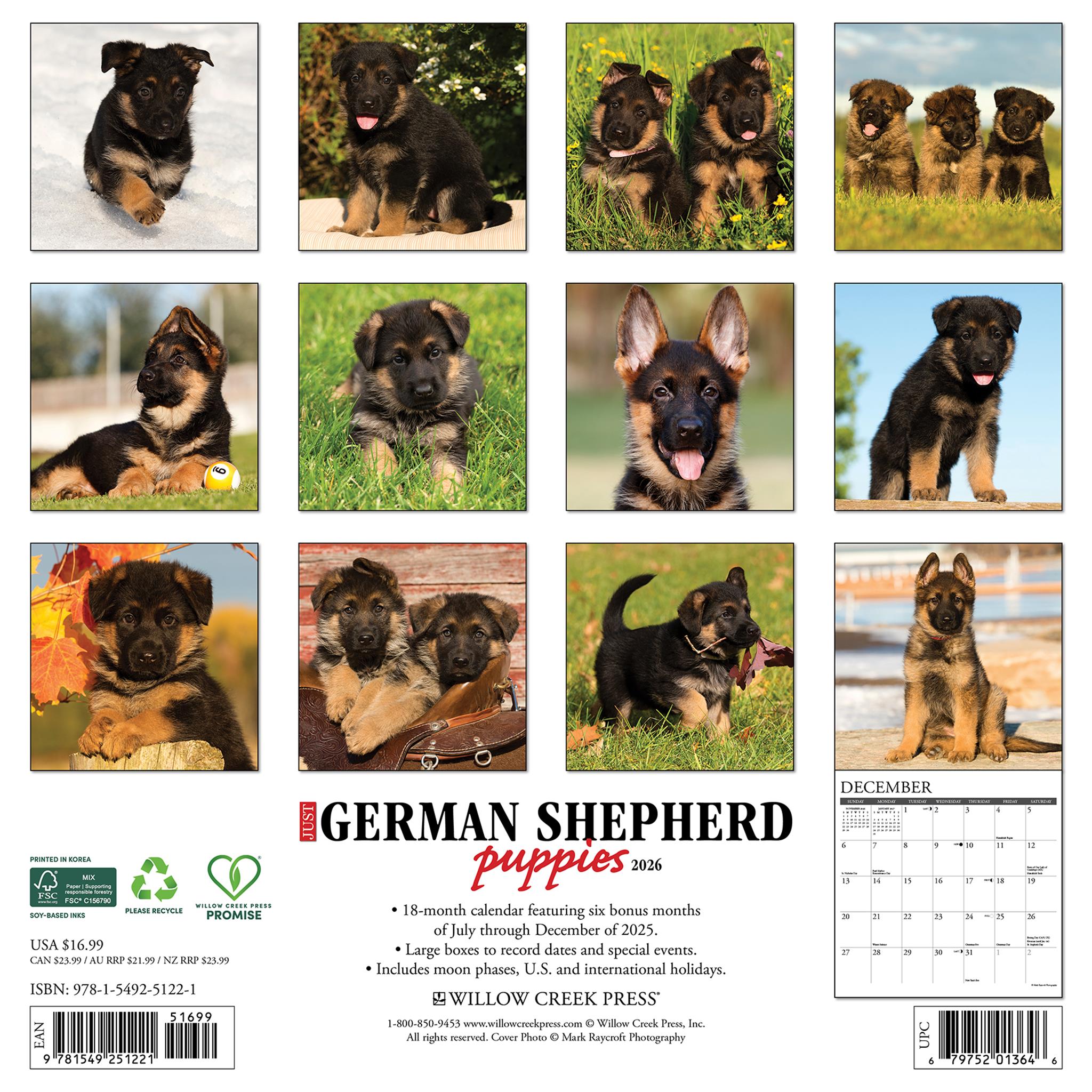 Calendrier mural 2026 « Just German Shepherd Puppies »
