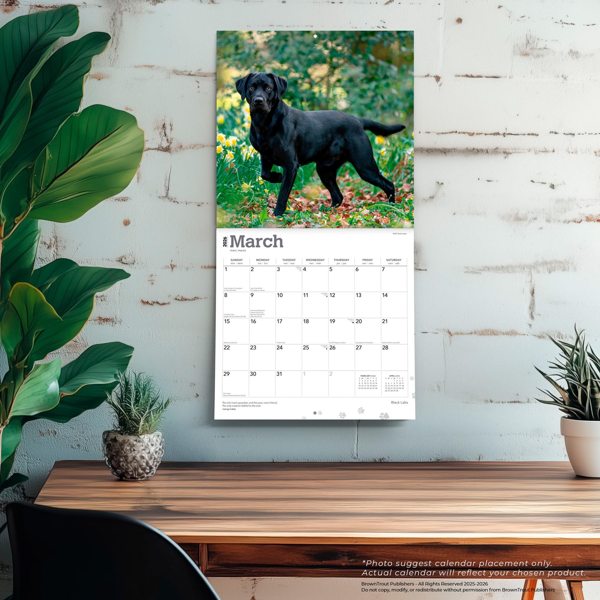 Calendrier mural Black Labs 2026