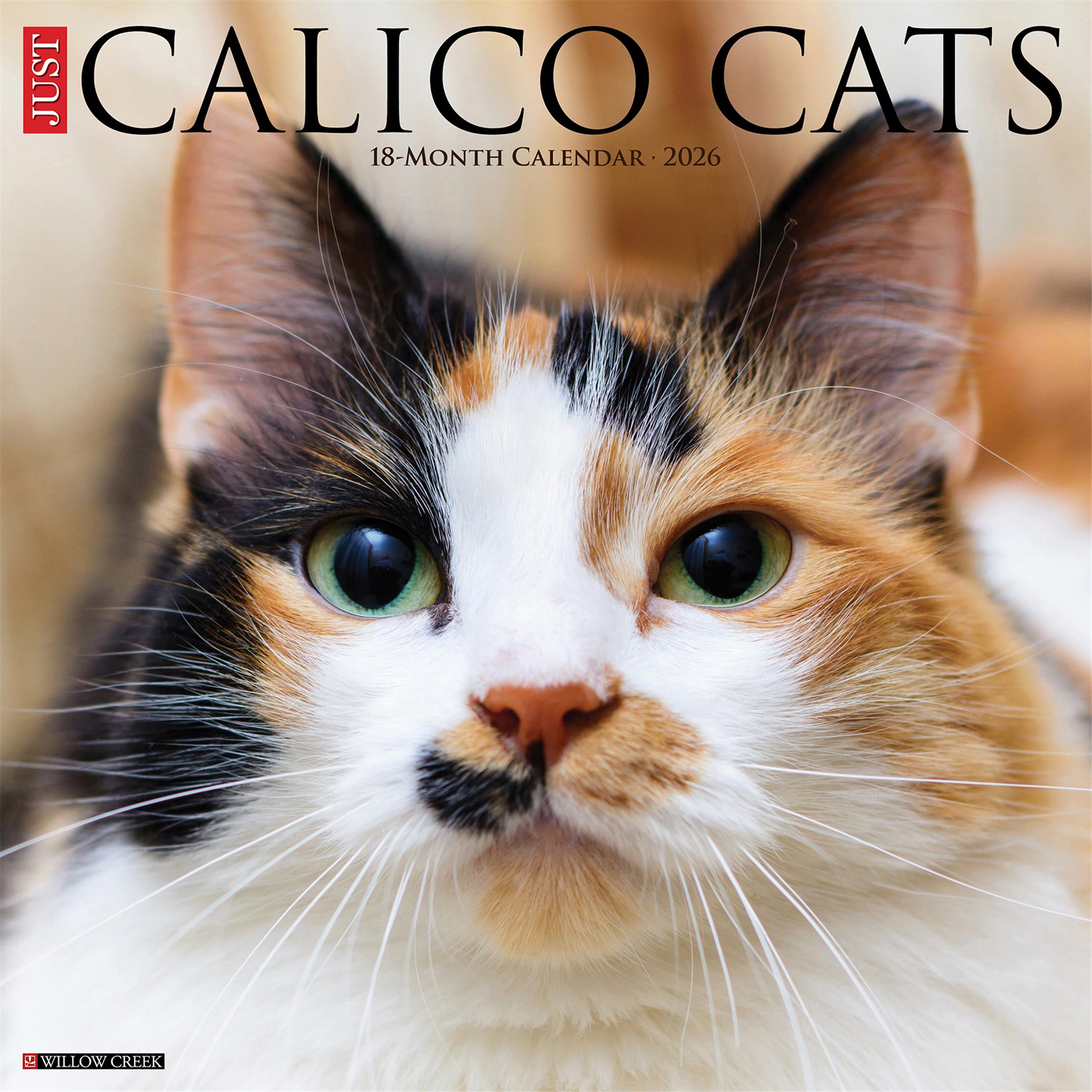 Calendrier mural Just Calico Cats 2026