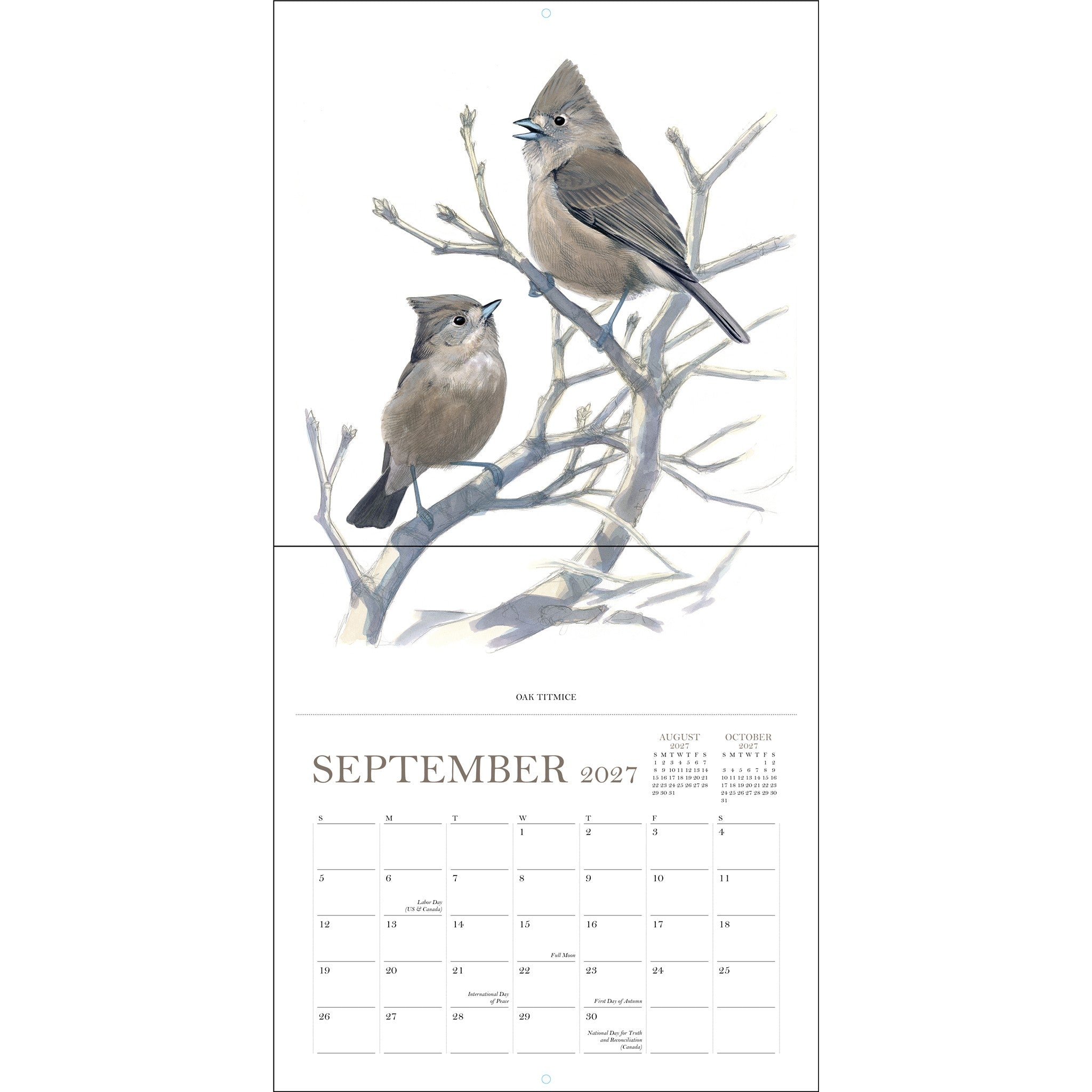 Sibley's Birds of North America 2027 Wall Calendar - Online Only