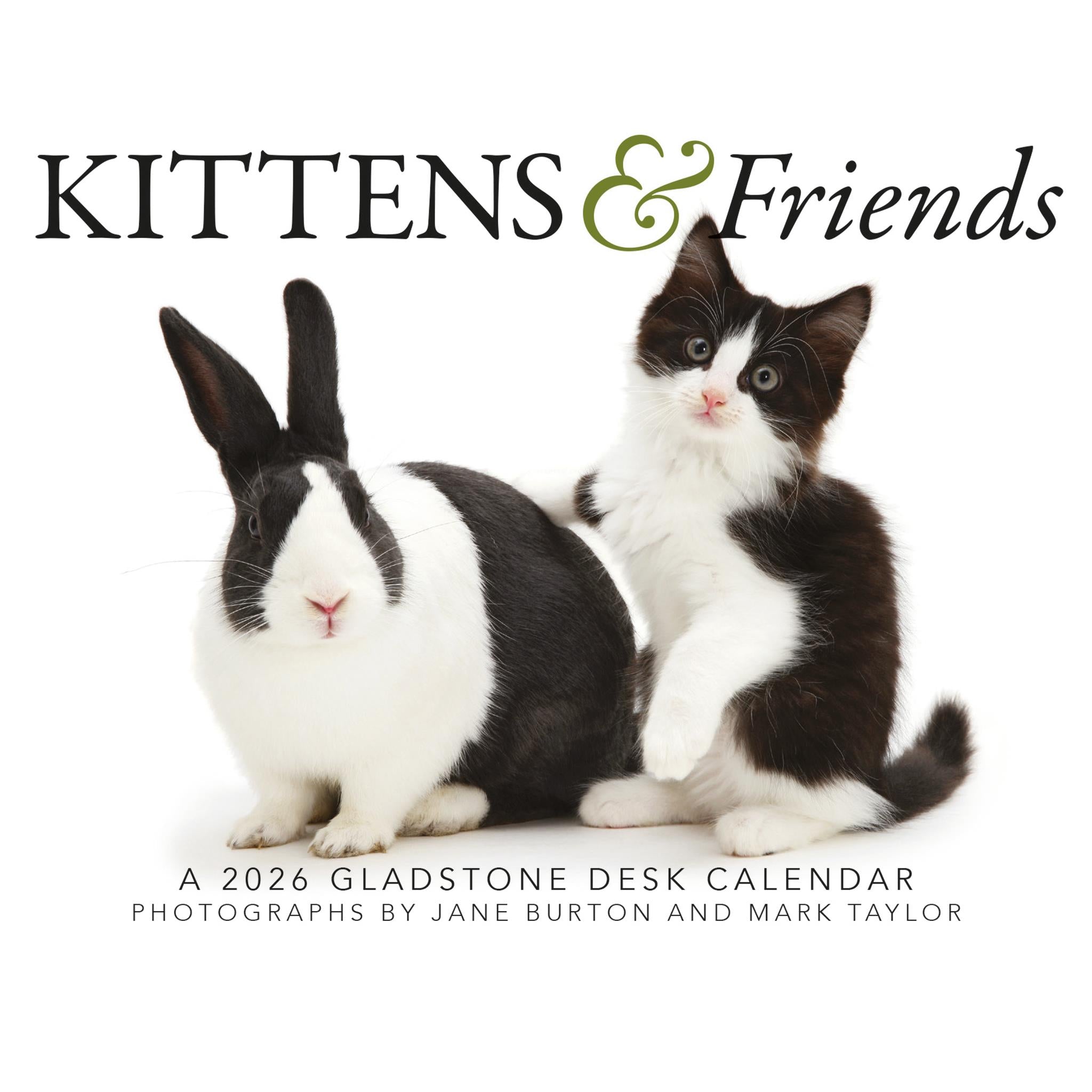 Calendrier Kittens And Friends Box 2026