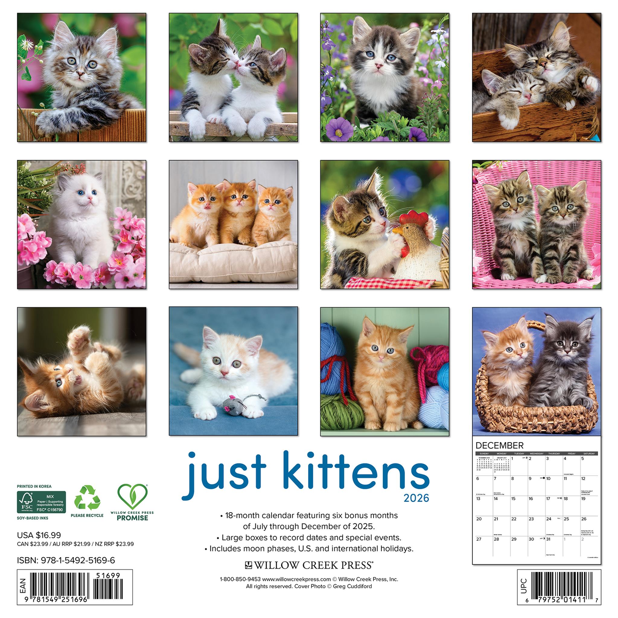 Calendrier mural Just Kittens 2026
