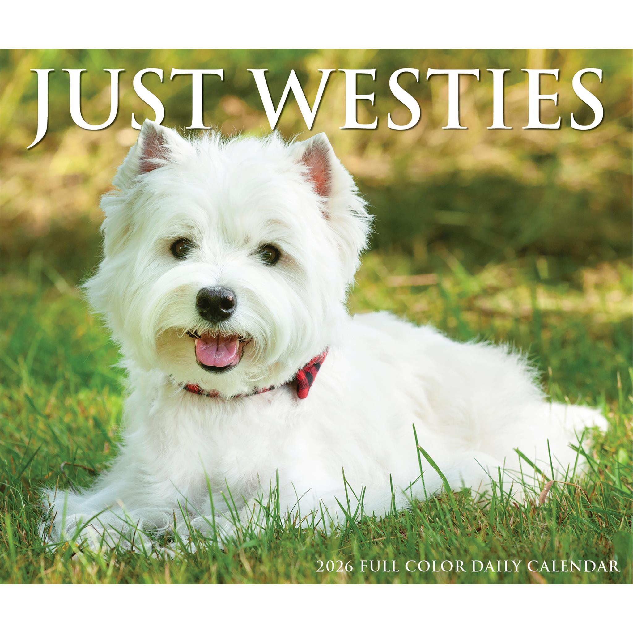 Westies 2026 Just Box Calendar - Online Only