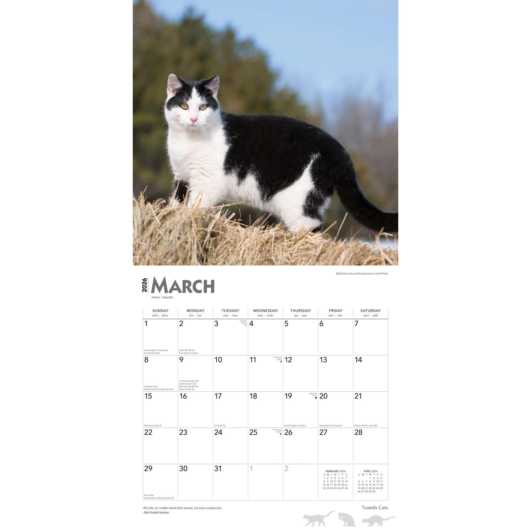 Calendrier mural Tuxedo Cats 2026