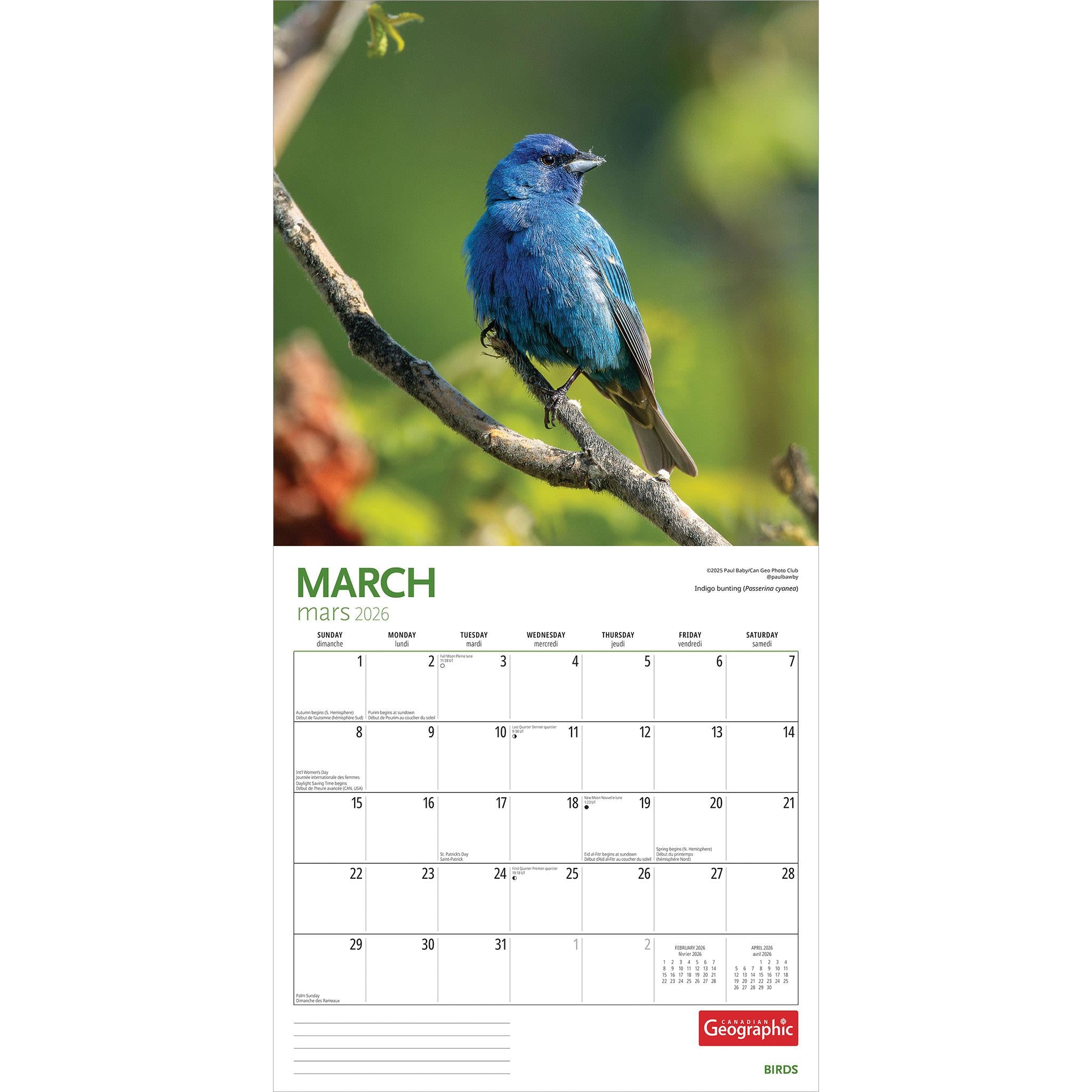 Canadian Geographic Birds 2026 Wall Calendar - Online Only