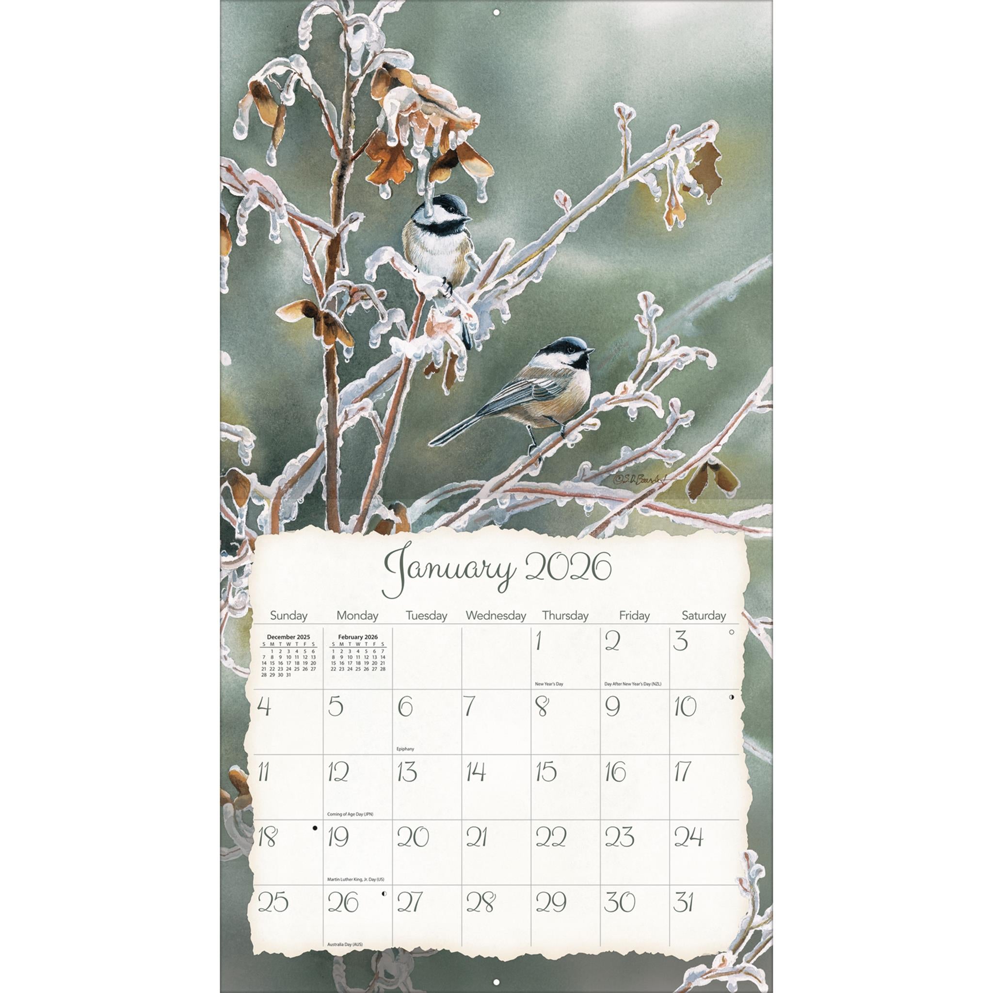 Songbirds 2026 Deluxe Wall Calendar
