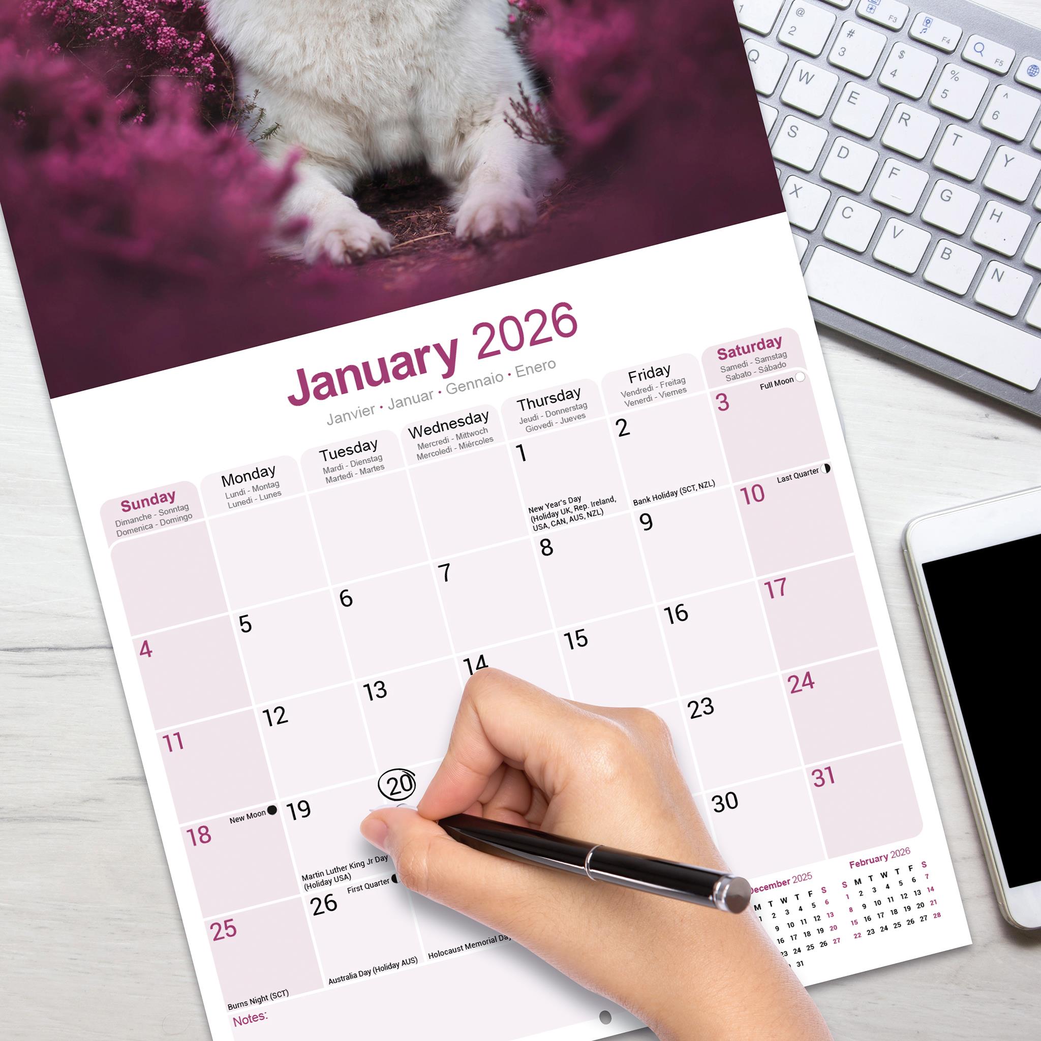White Shepherd 2026 Wall Calendar
