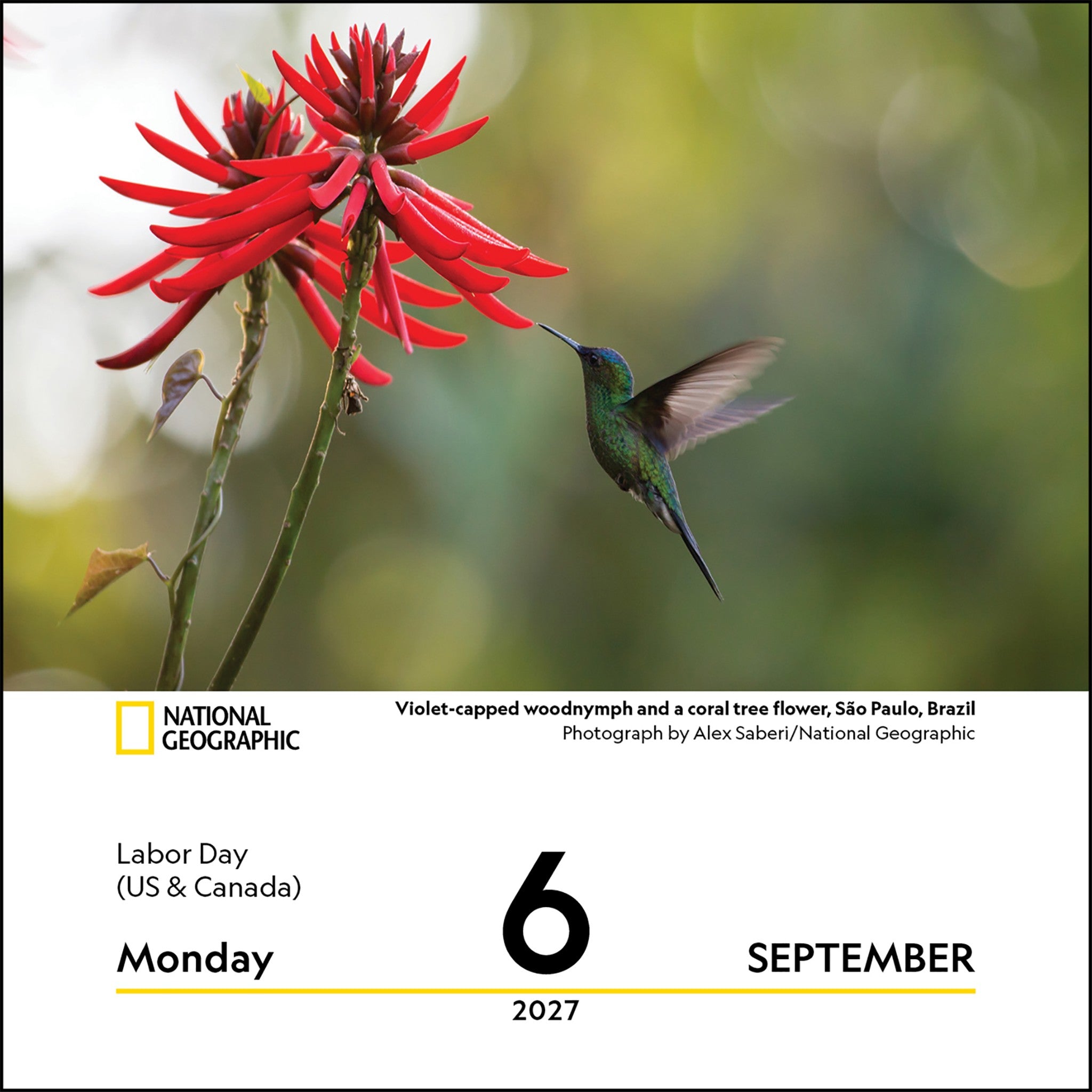 National Geographic: Nature 2027 Box Calendar - Online Only
