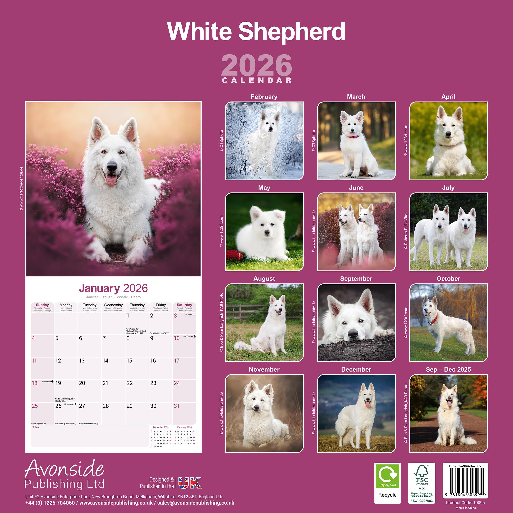 Calendrier mural White Shepherd 2026
