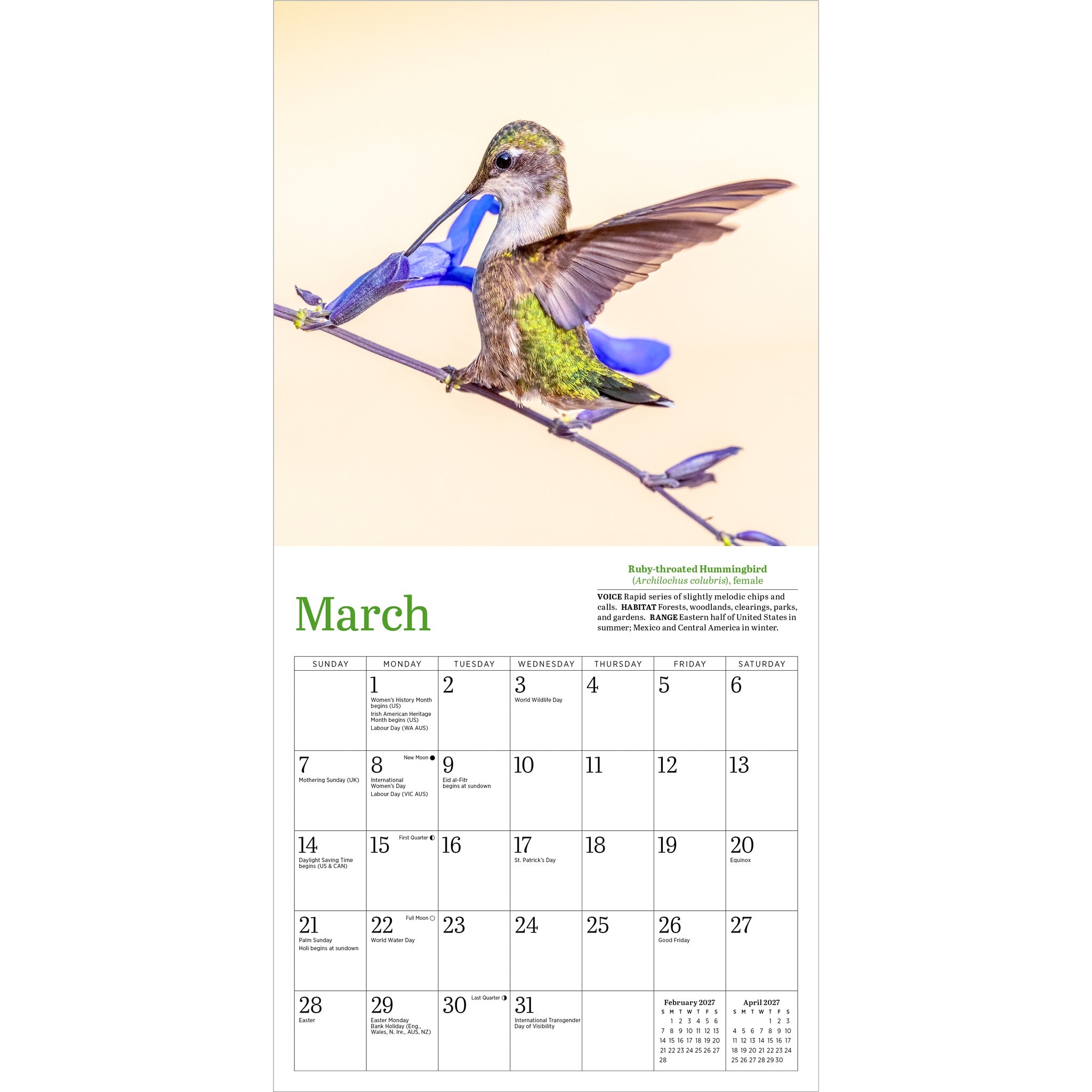 Audubon Hummingbirds 2027 Mini Calendar - Online Only