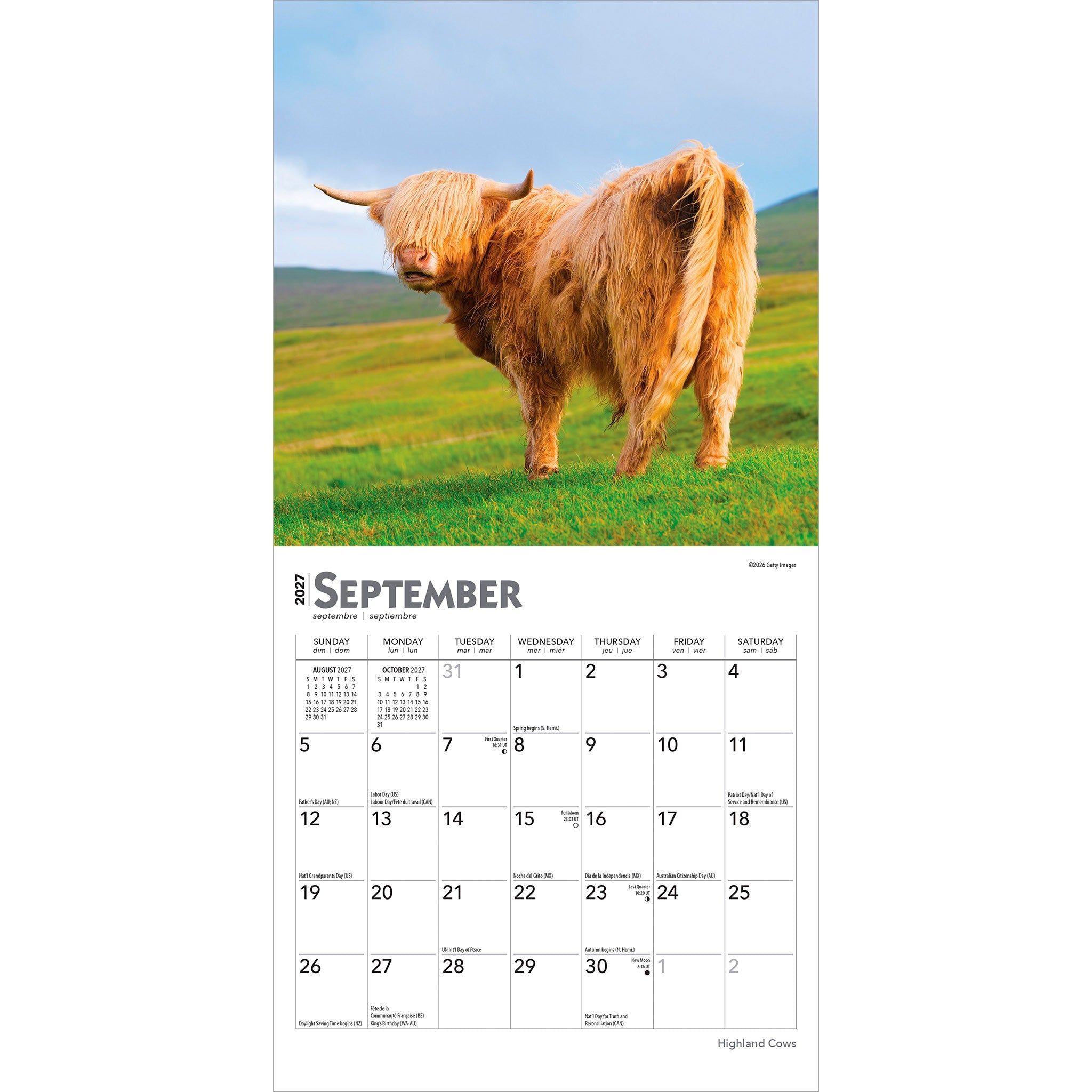 Highland Cows 2027 Mini Calendar