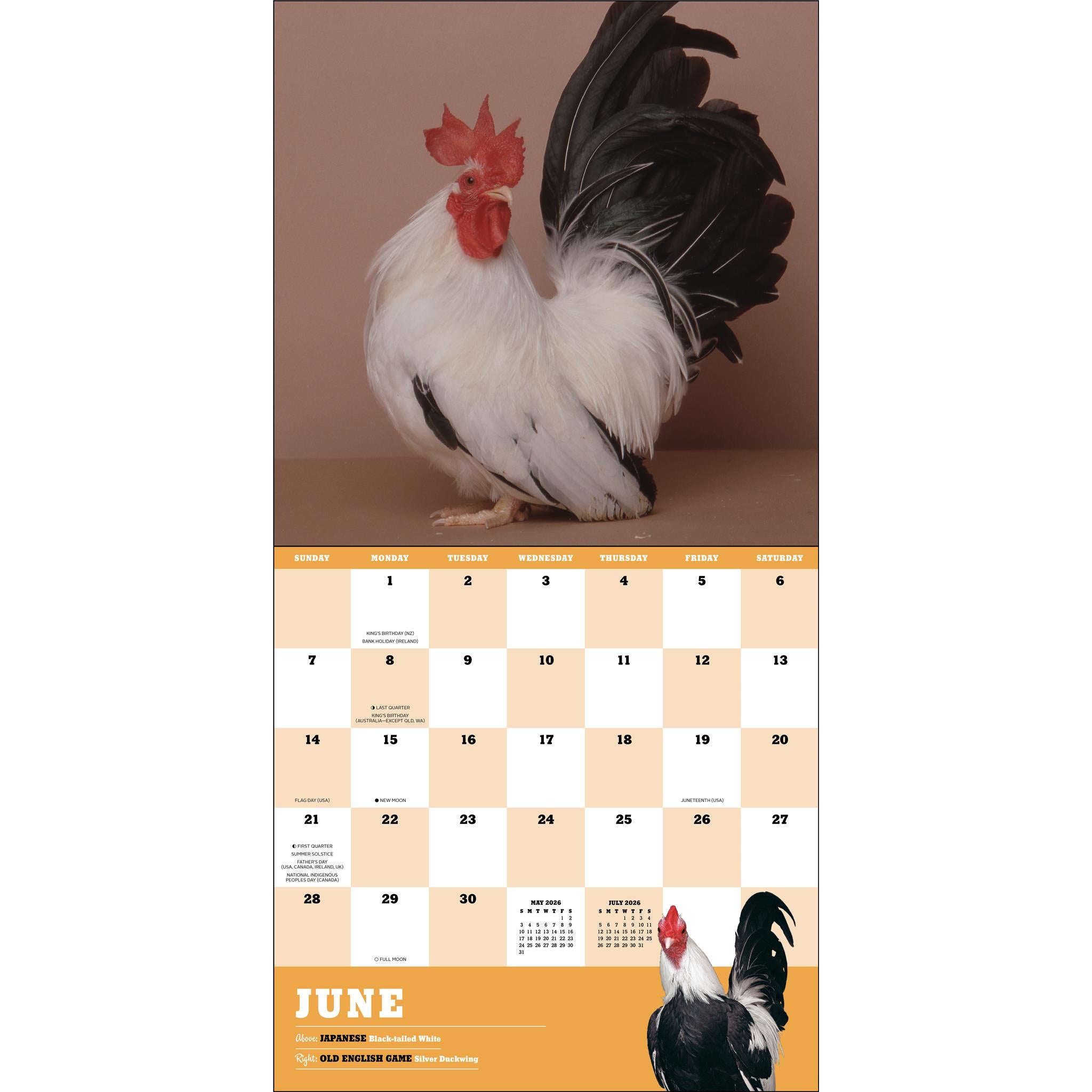 Extraordinary Chickens 2026 Wall Calendar