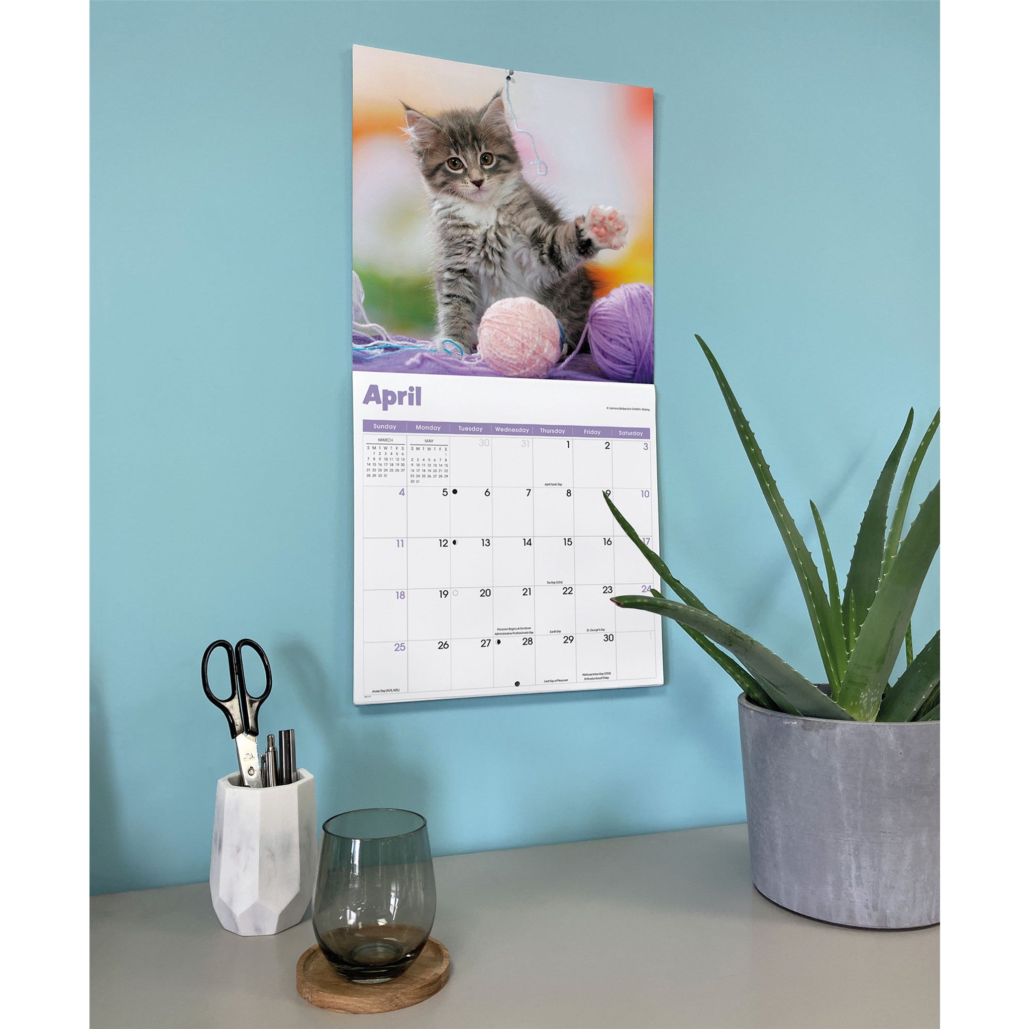 Calendrier mural 2027 Chaton curieux