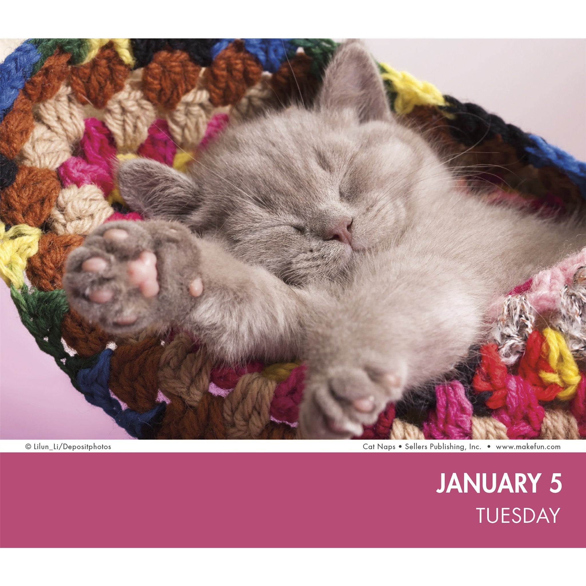 Cat Naps 2027 Box Calendar
