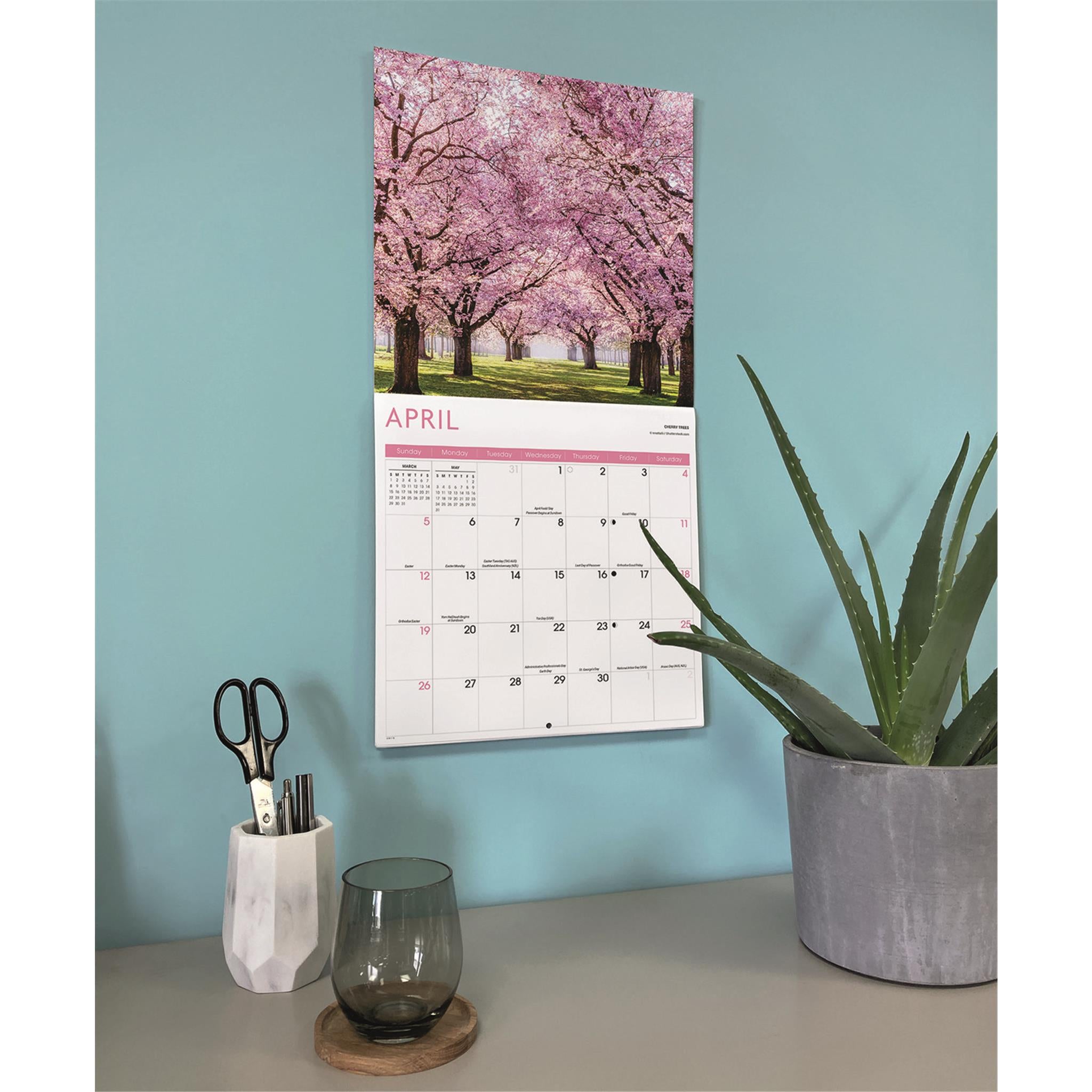 Calendrier mural Arbres 2026