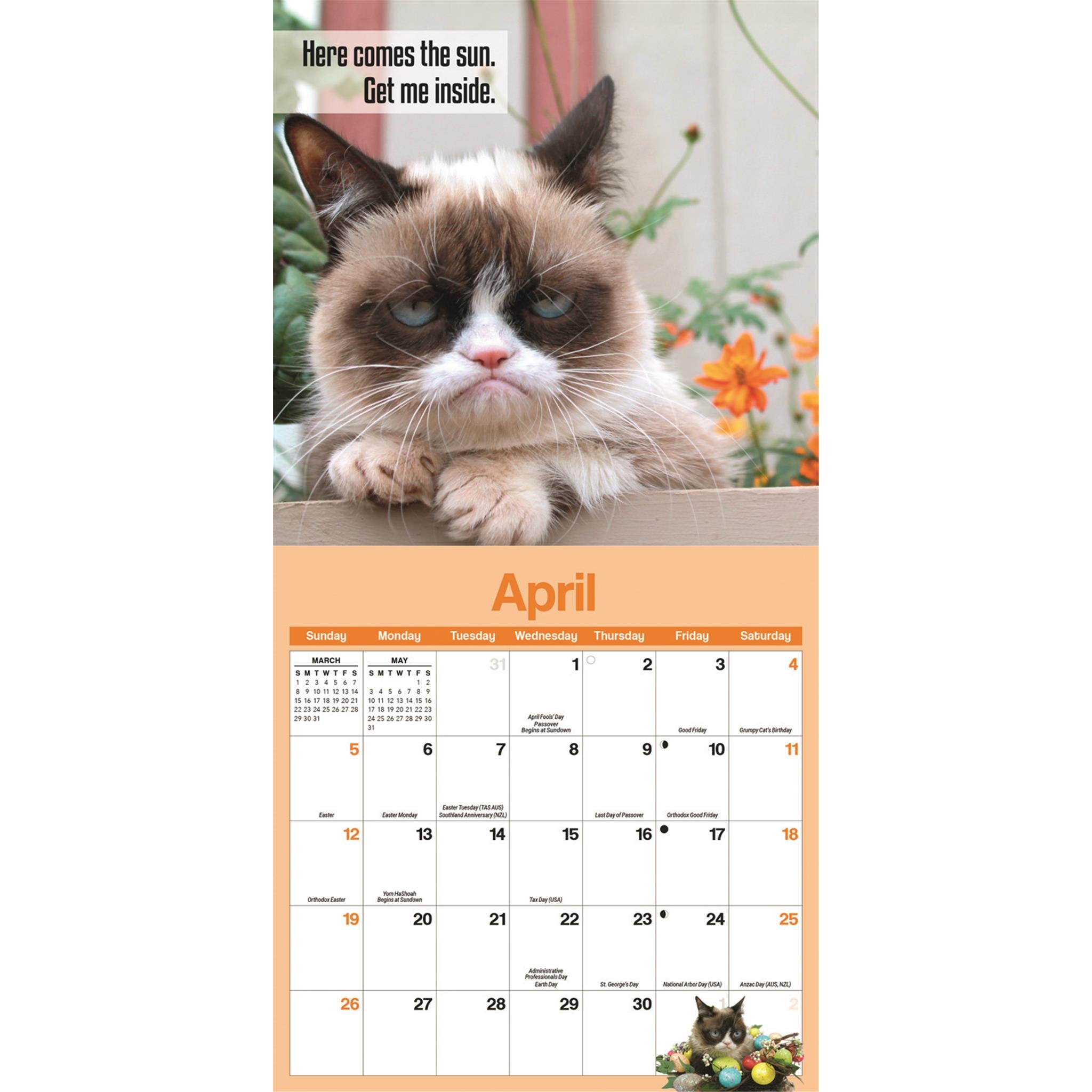 Mini calendrier Grumpy Cat 2026