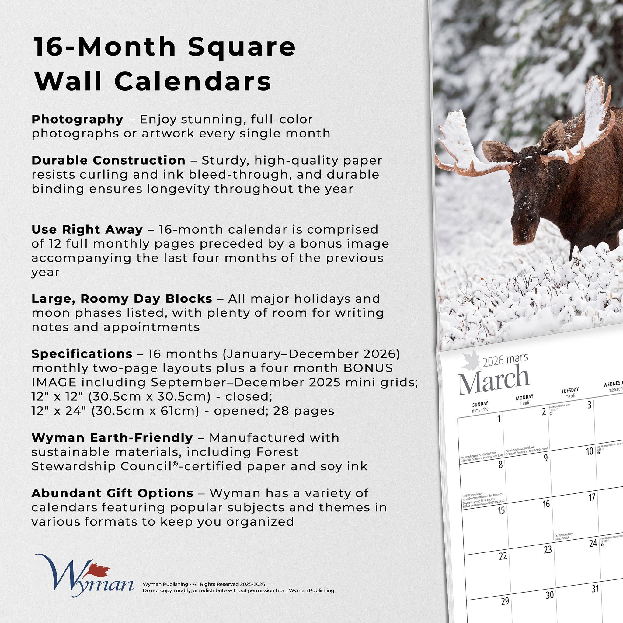 Cabin Country 2026 Wall Calendar