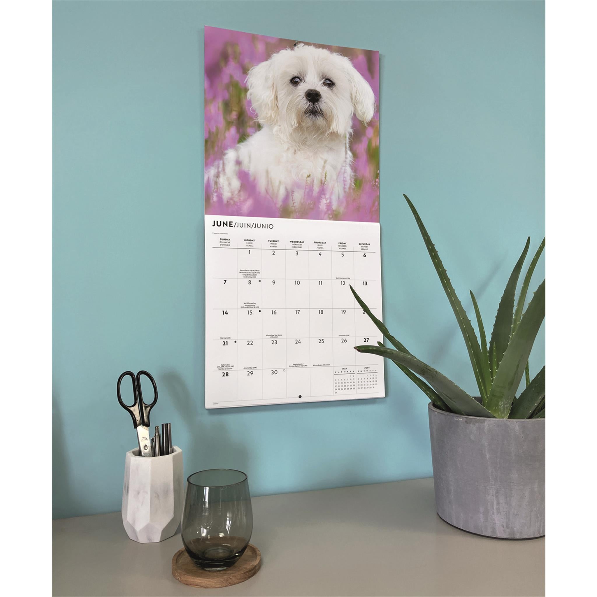 Maltese 2026 Wall Calendar