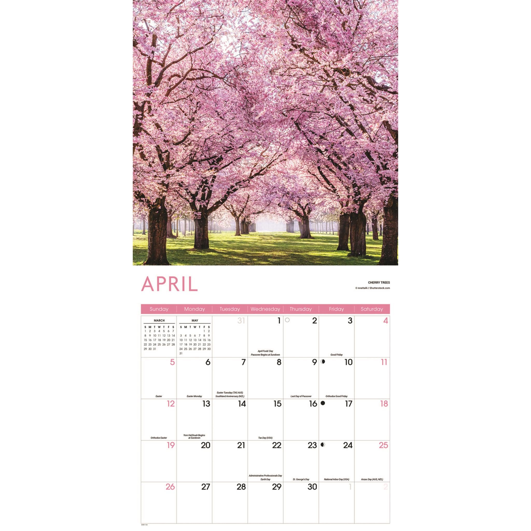 Calendrier mural Arbres 2026