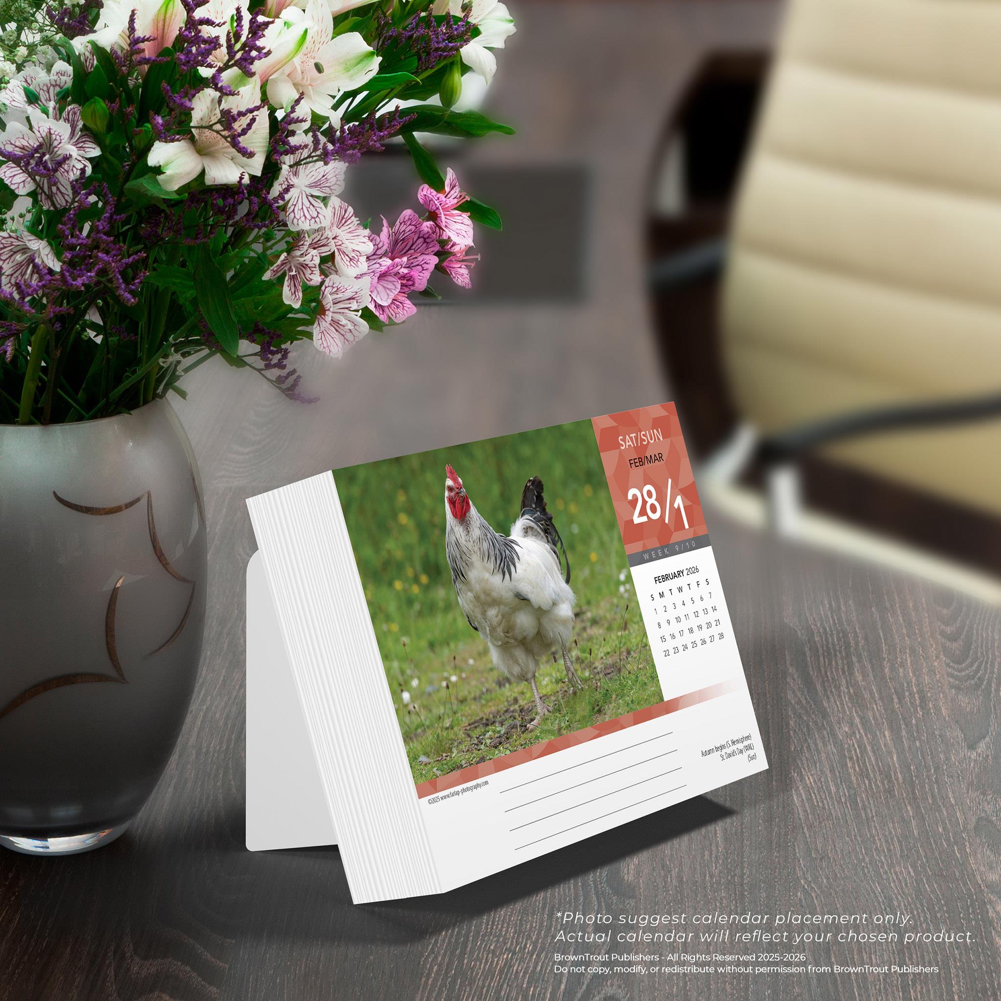 Calendrier de l'Avent 2026 - Disponible uniquement en ligne