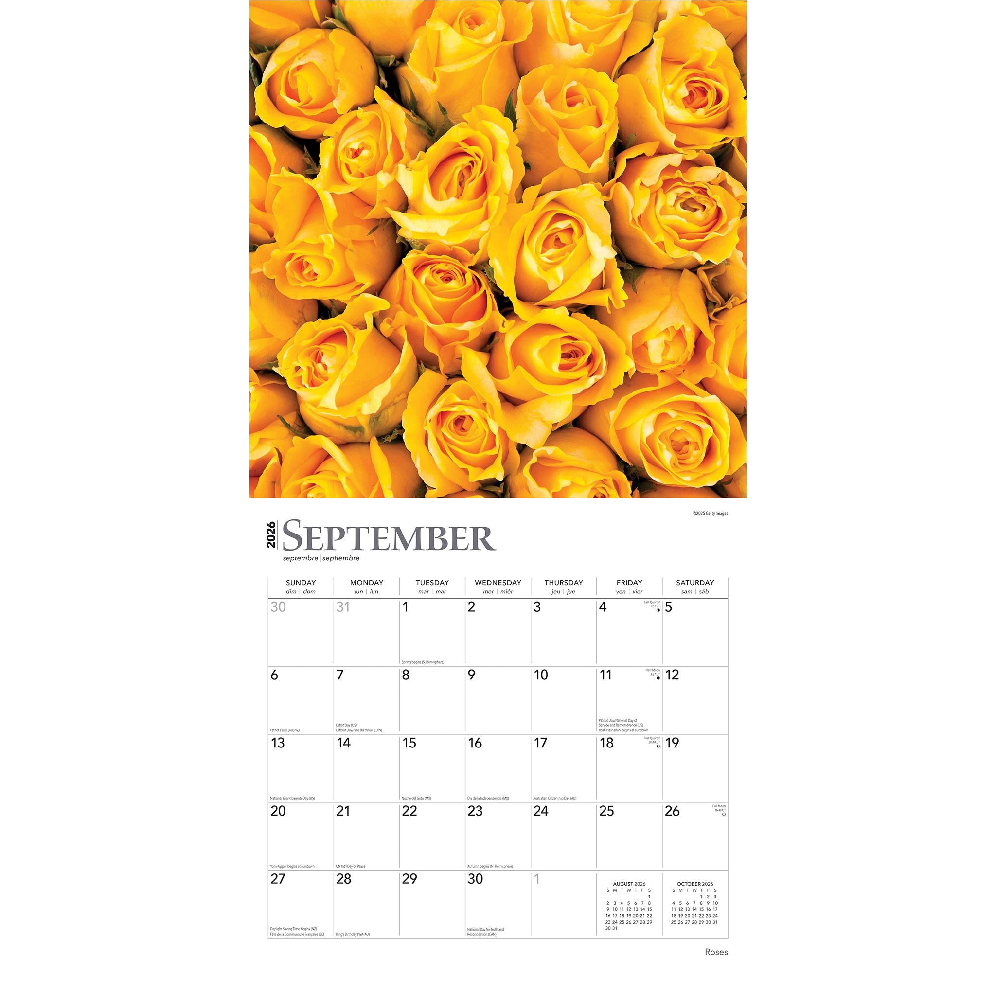 Roses 2026 Wall Calendar - Online Only