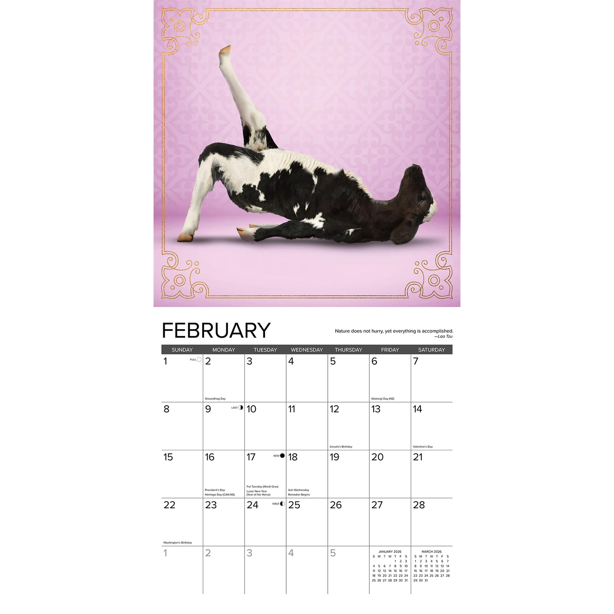 Cow Yoga 2026 Wall Calendar
