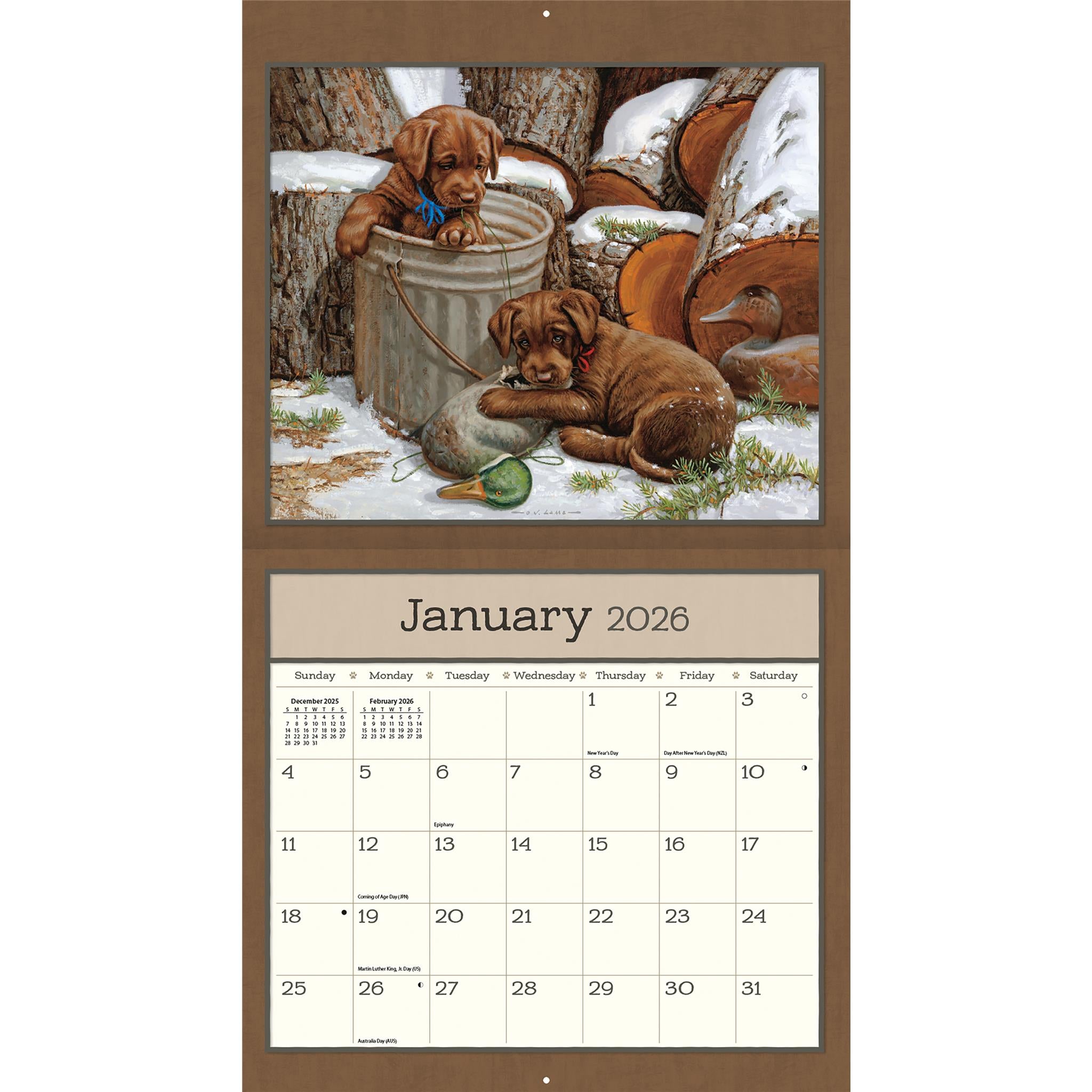 Calendrier mural Chiots 2026 - Disponible uniquement en ligne