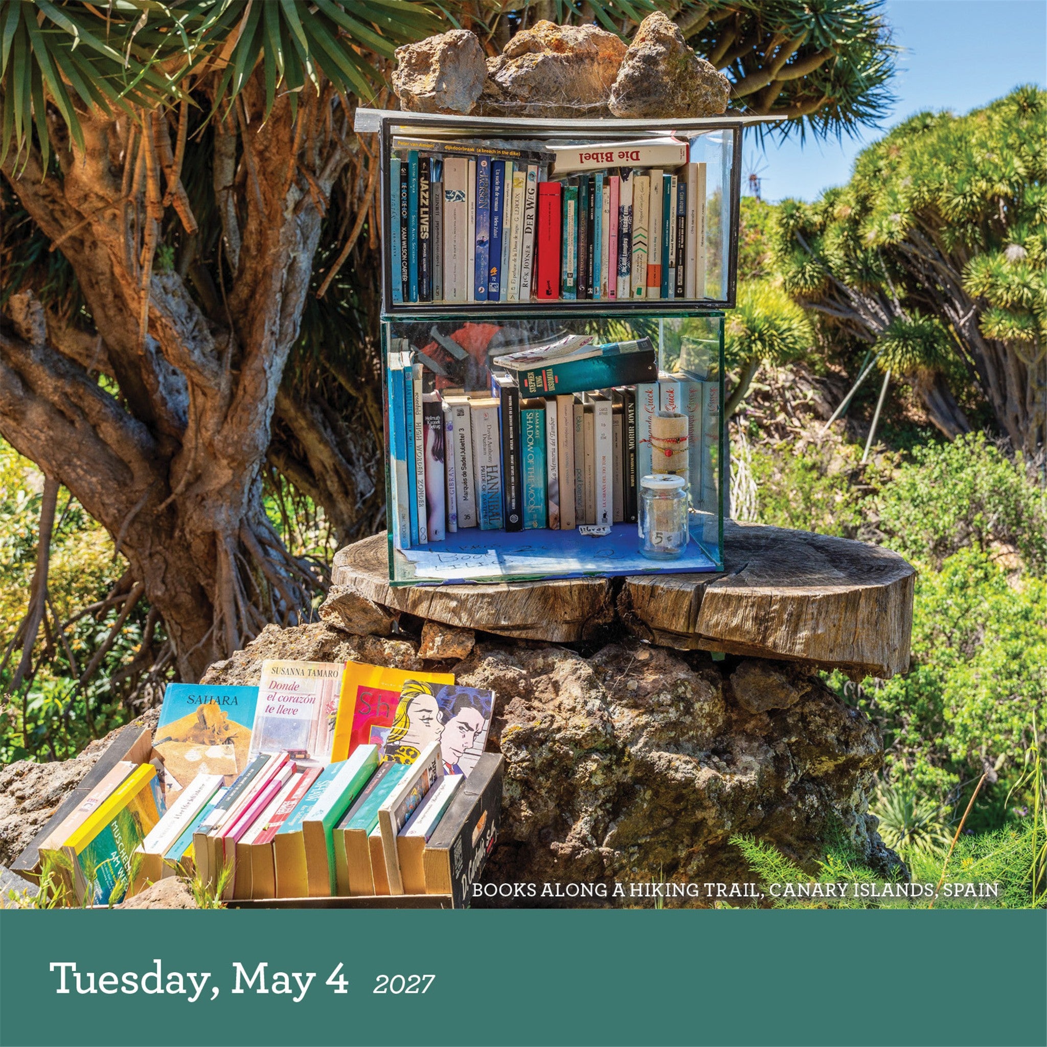 A Book Lover's Year 2027 Box Calendar - Online Only