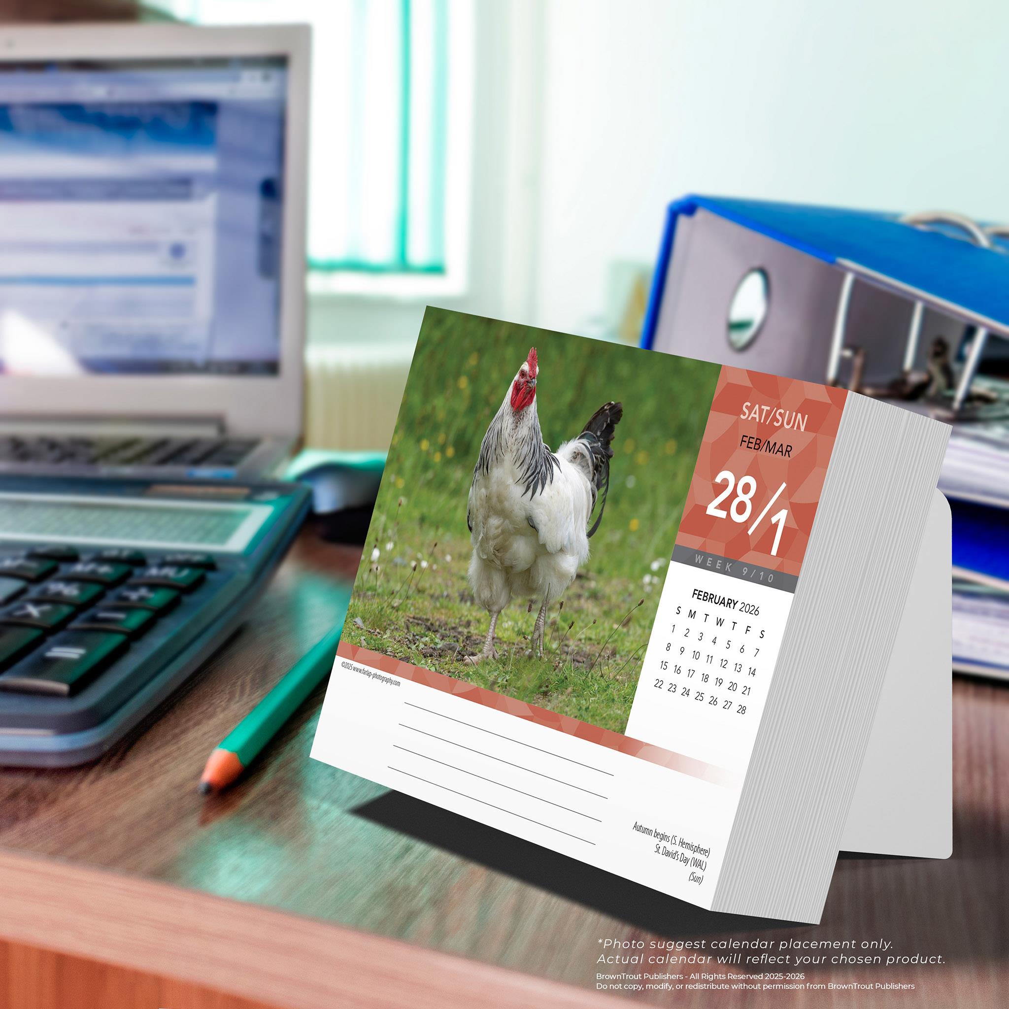 Calendrier de l'Avent 2026 - Disponible uniquement en ligne