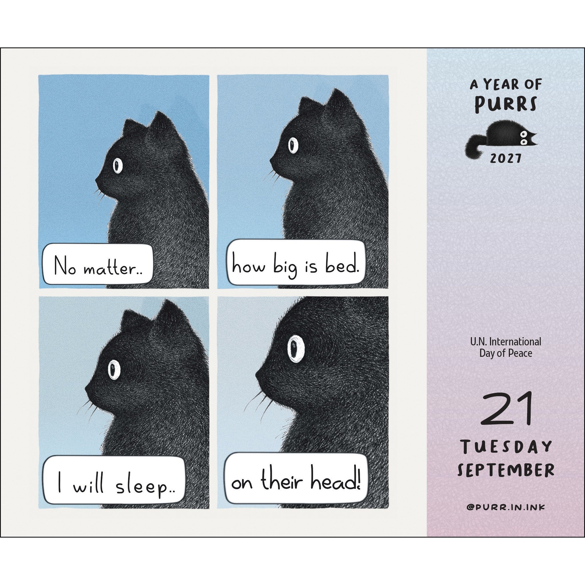 A Year of Purrs 2027 Box Calendar