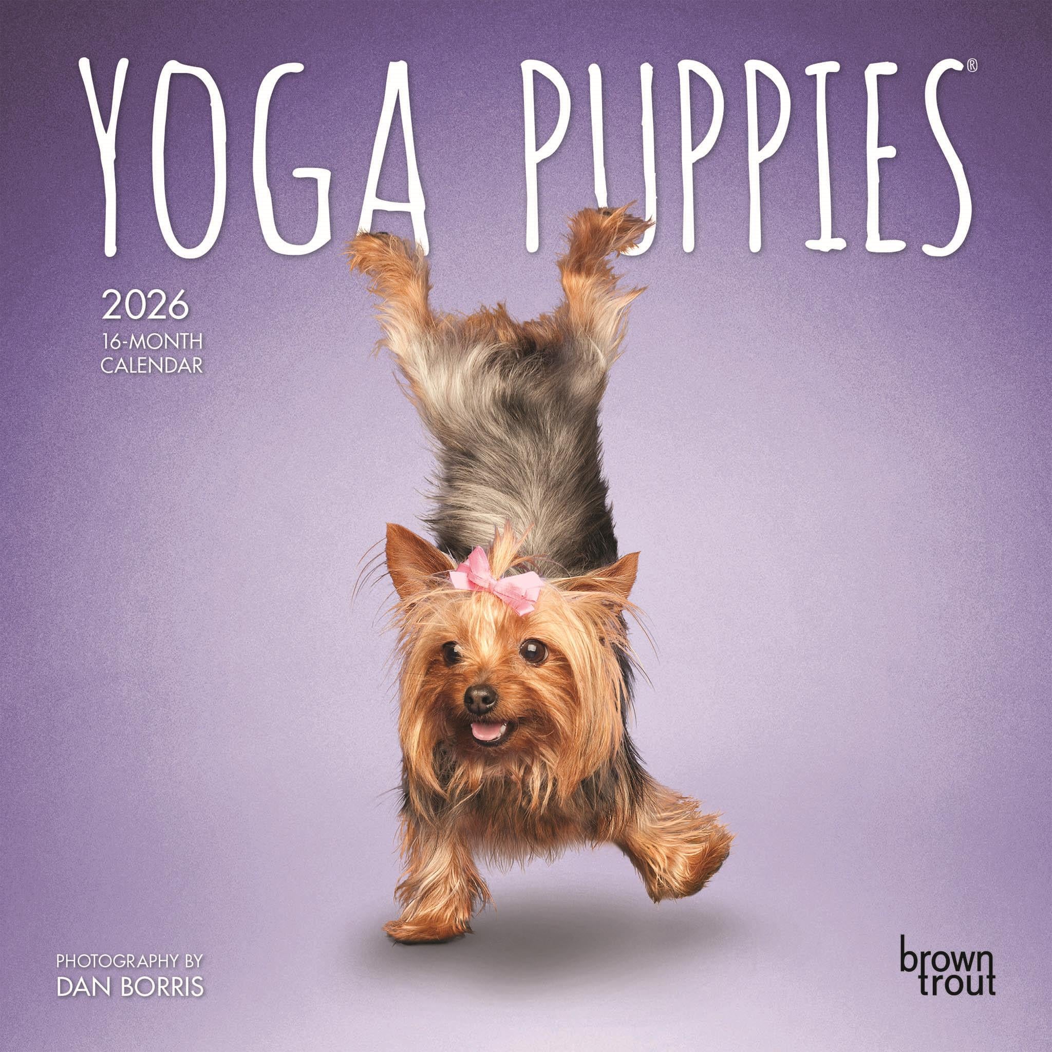 Mini calendrier Yoga Puppies 2026