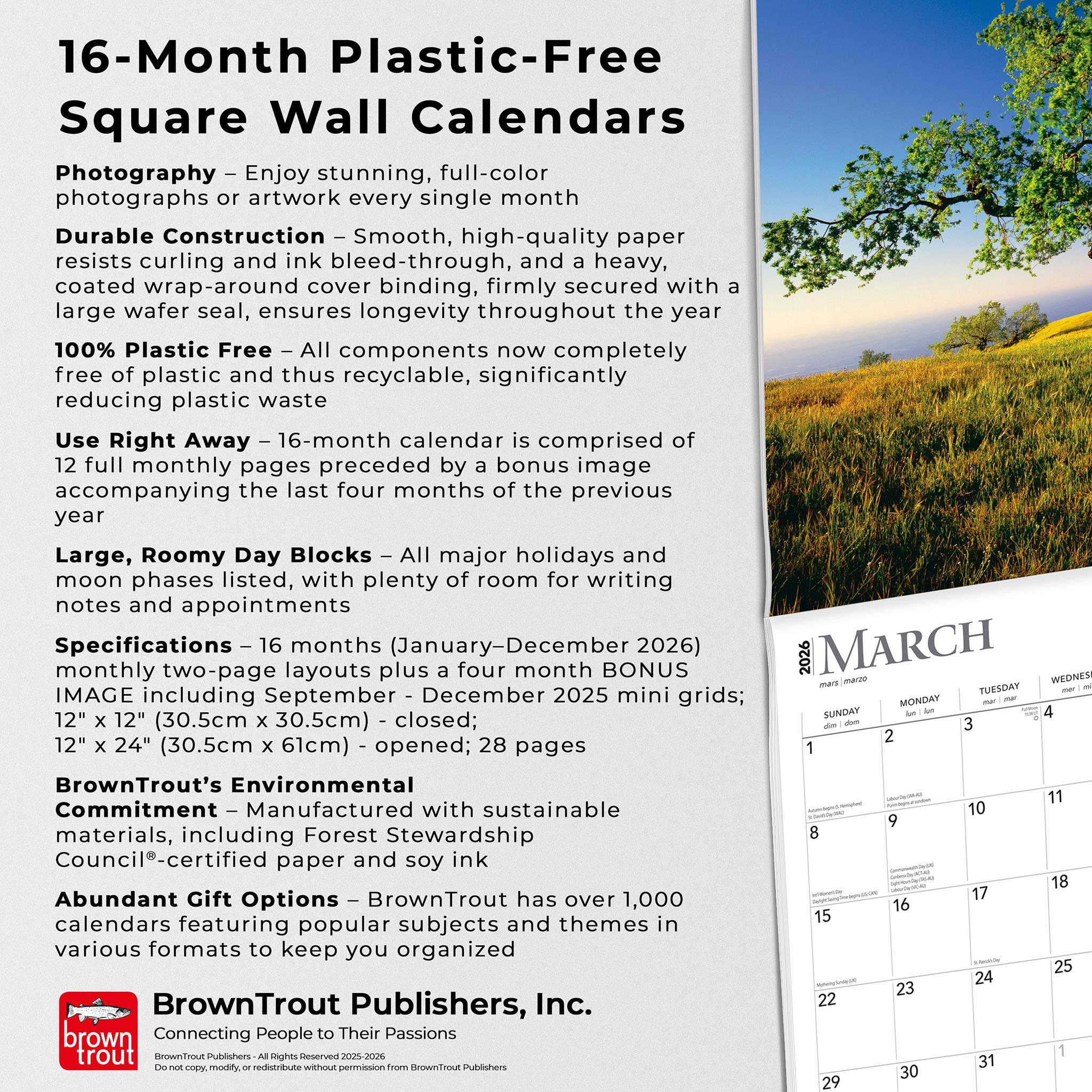 Majesty Of Trees 2026 Wall Calendar - Online Only