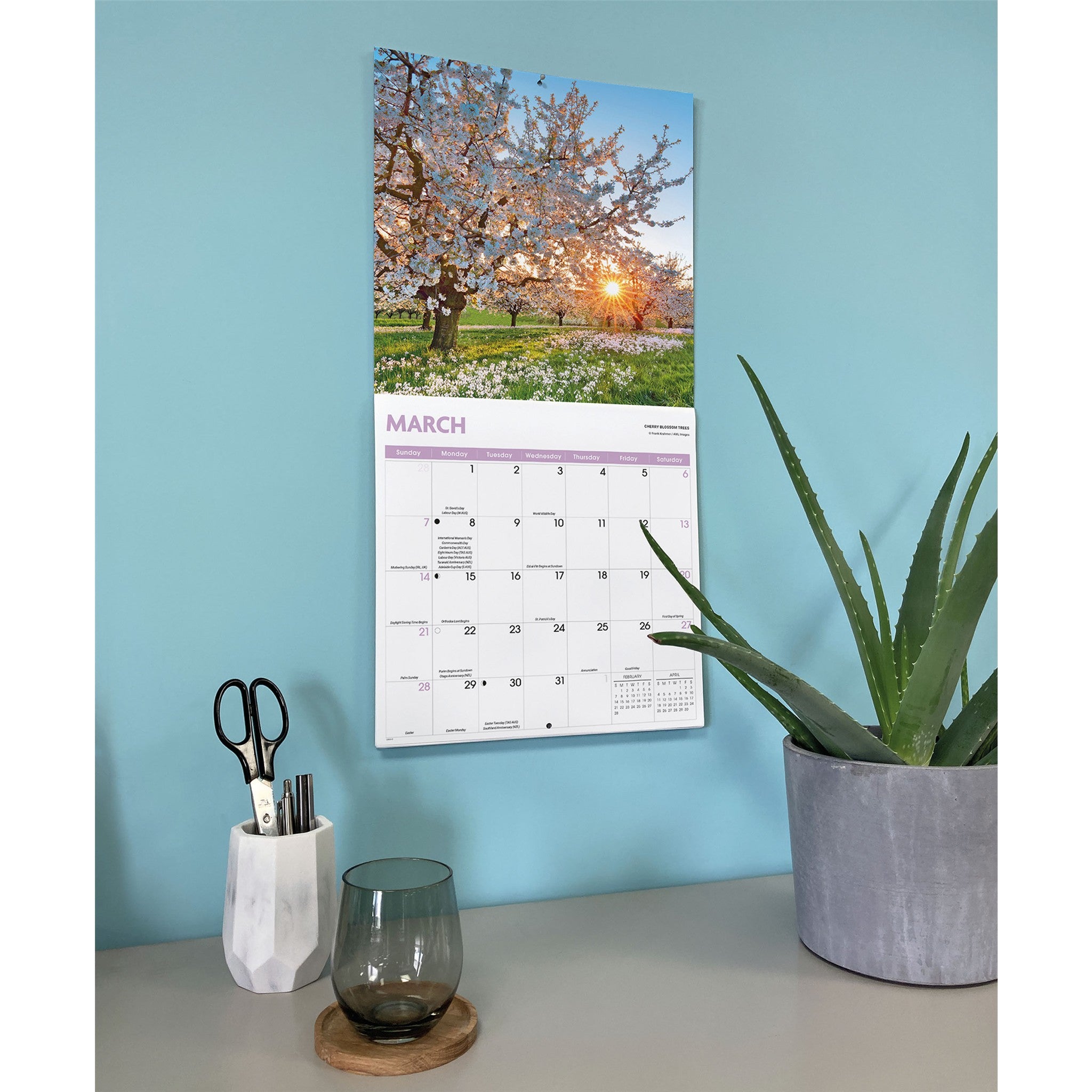 Calendrier mural Arbres 2027