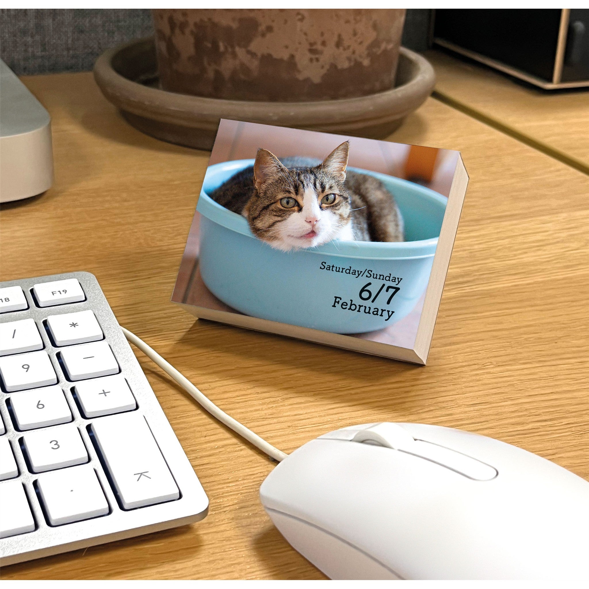 Calendrier petit format Chats 2027