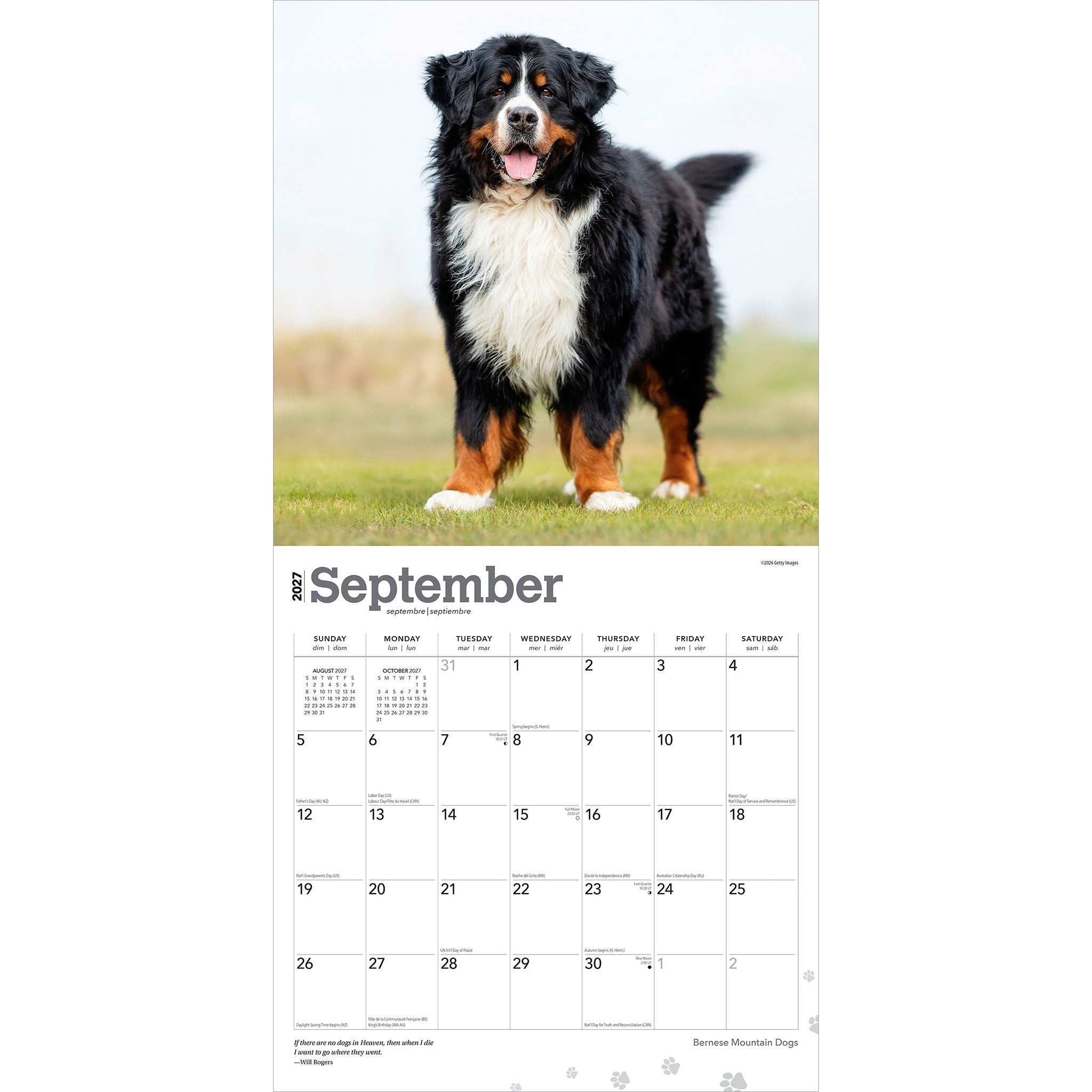 Bernese Mountain Dogs 2027 Wall Calendar