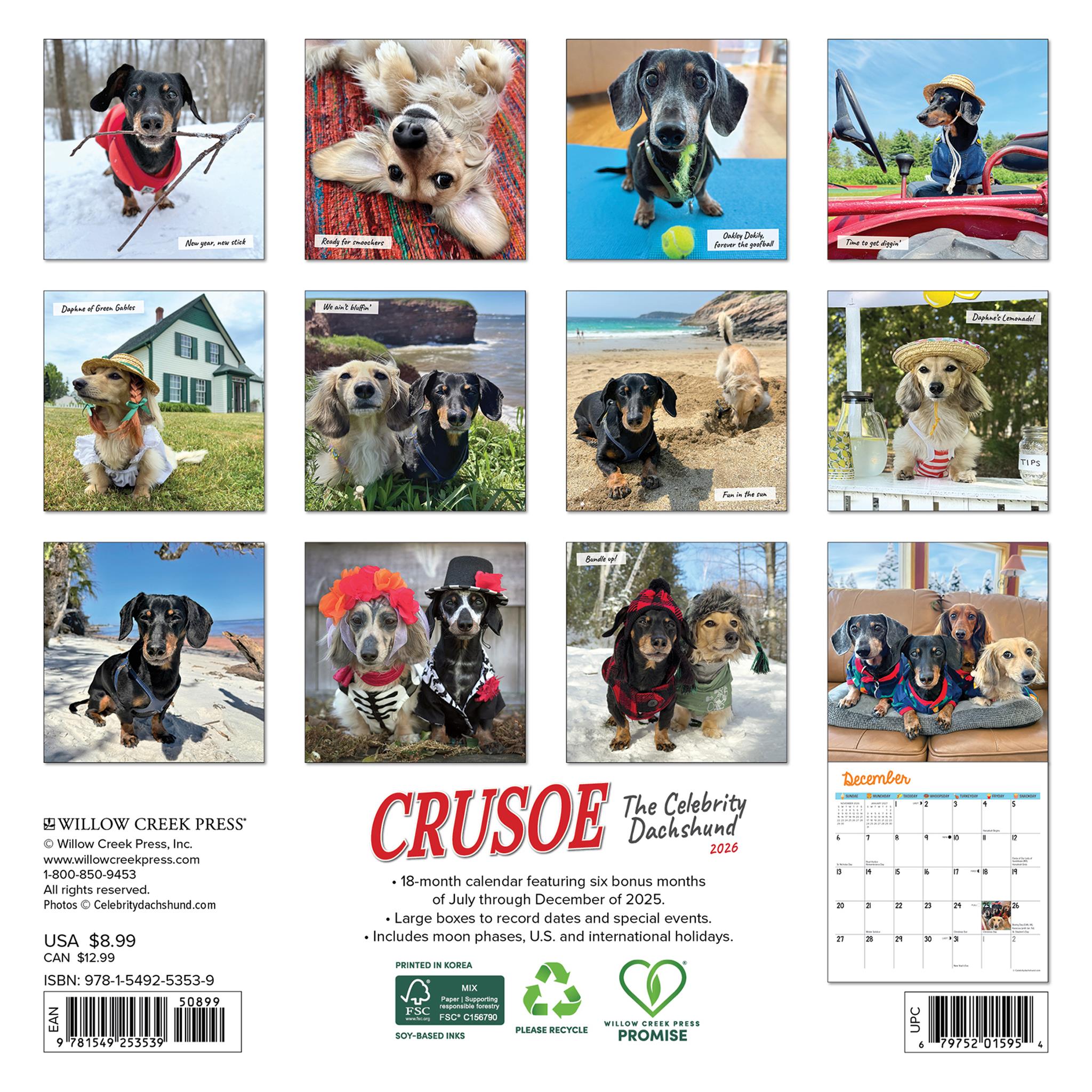 Mini calendrier Crusoe Dachshund 2026