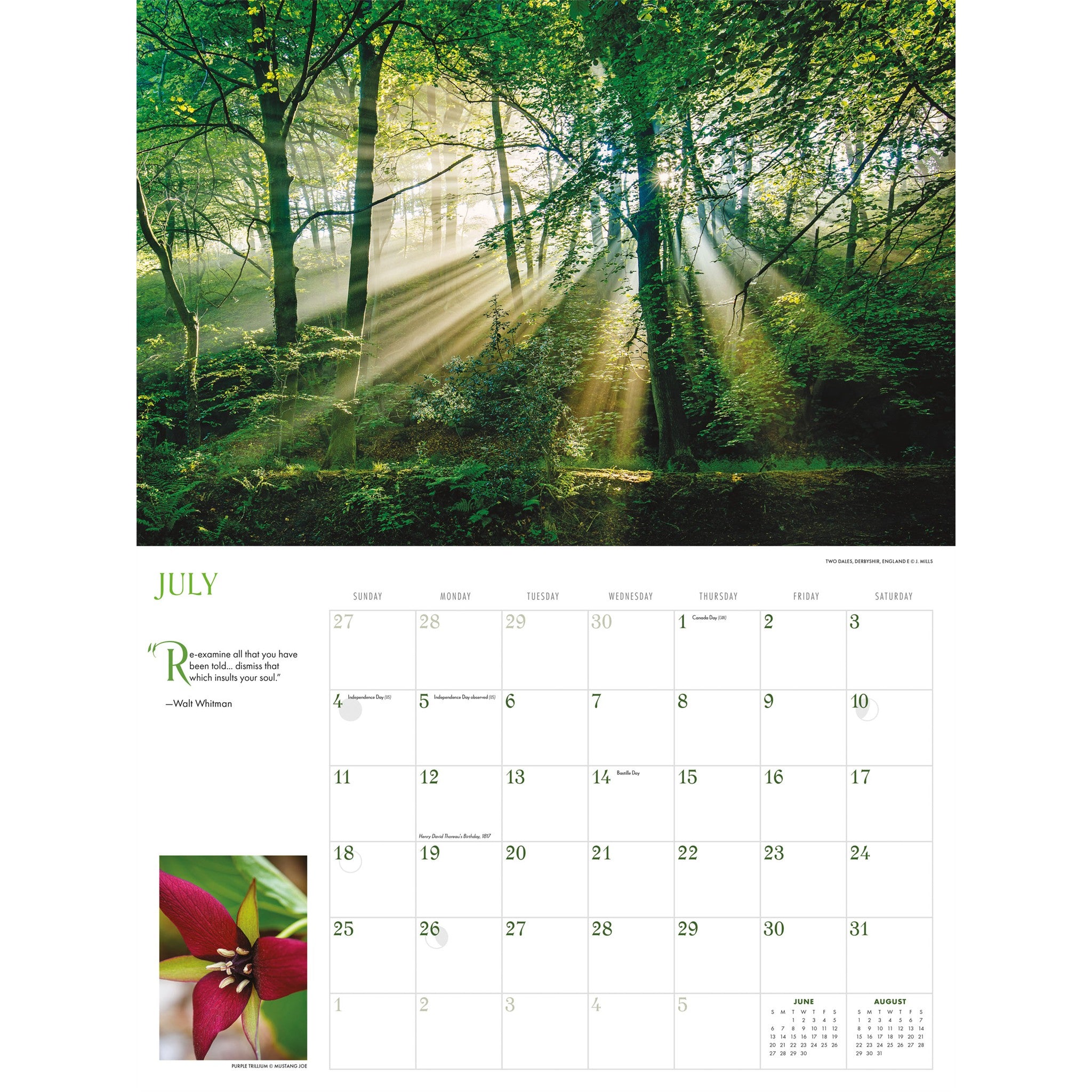 Calendrier mural Into the Woods 2027