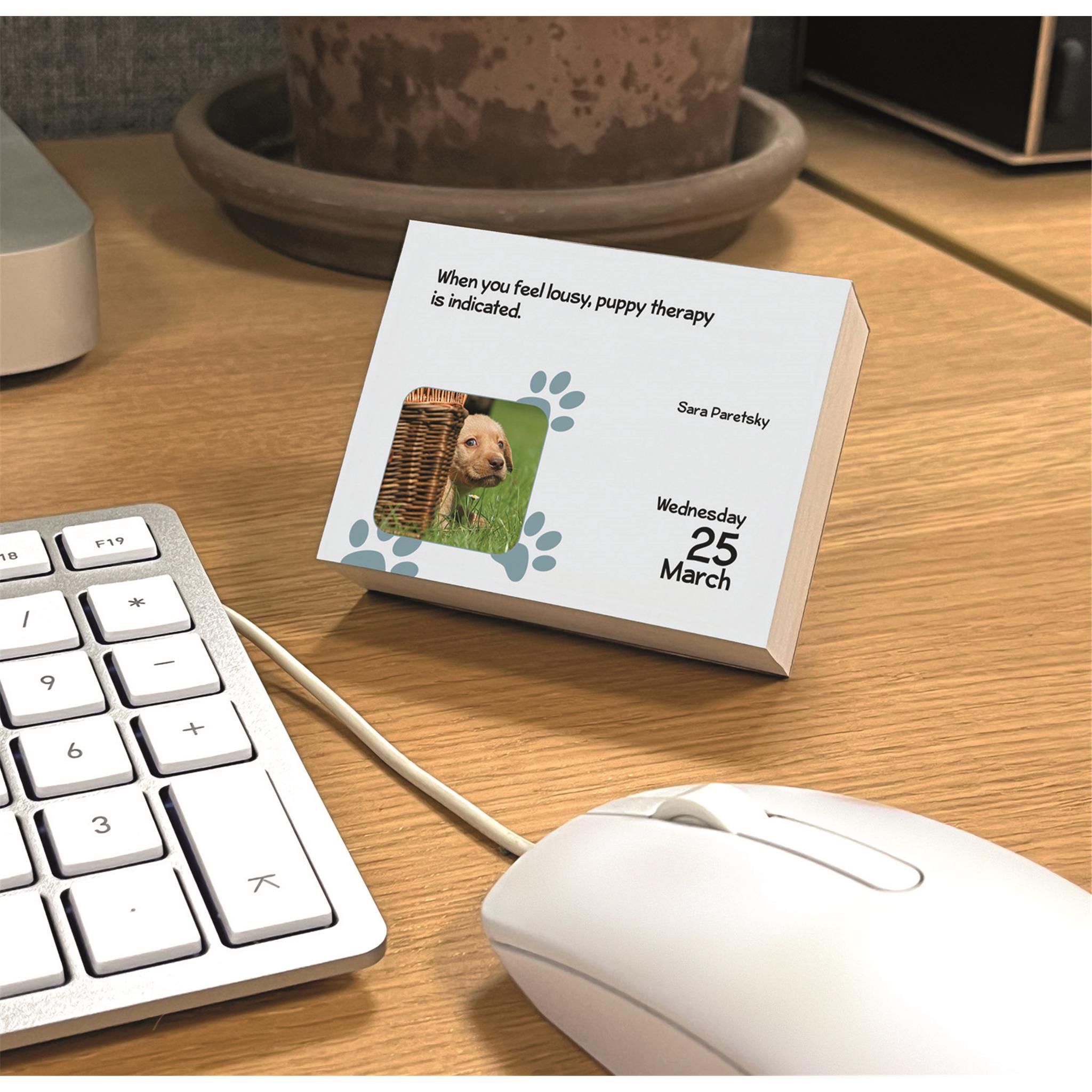 Puppies 2026 Small Box Calendar