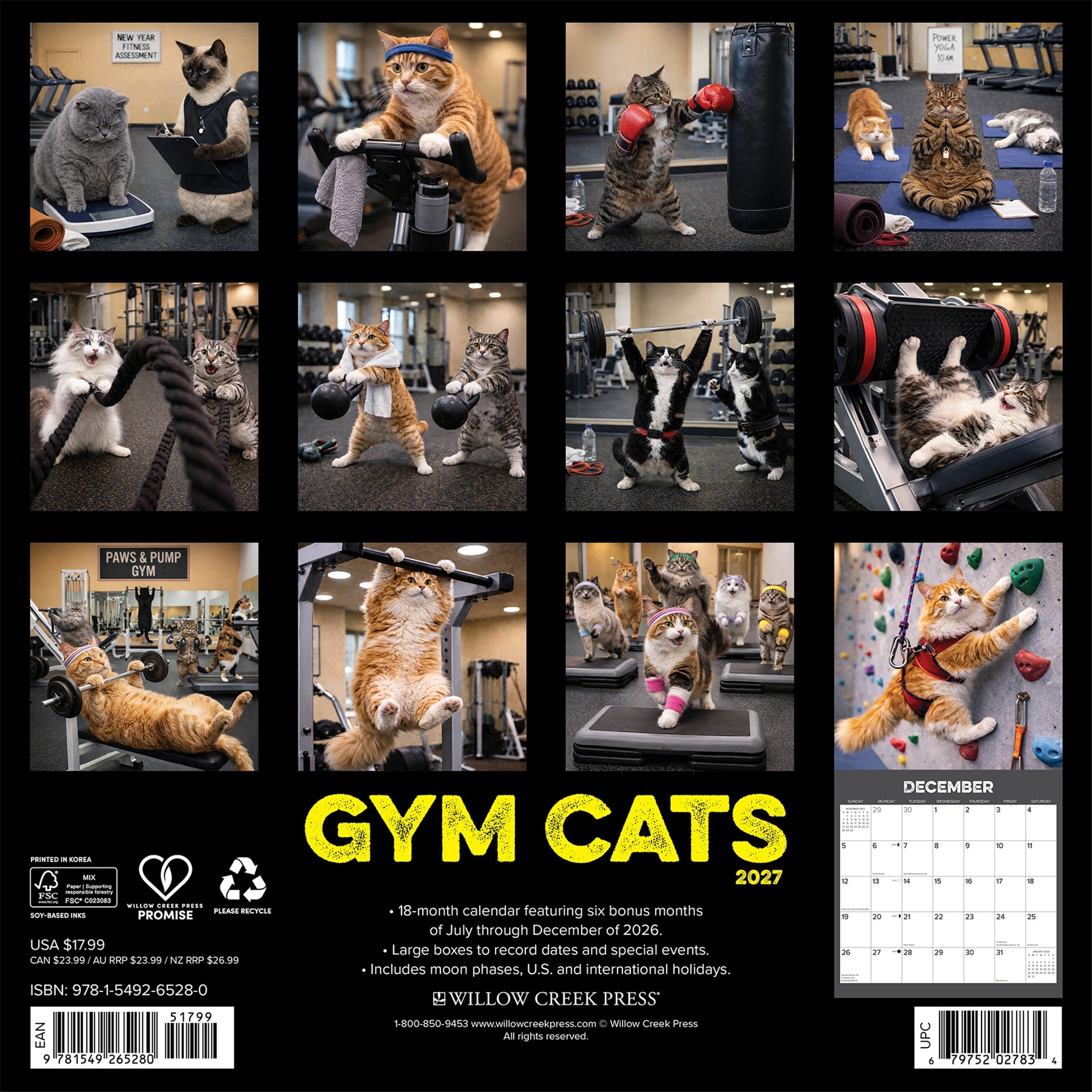 Gym Cats 2027 Wall Calendar